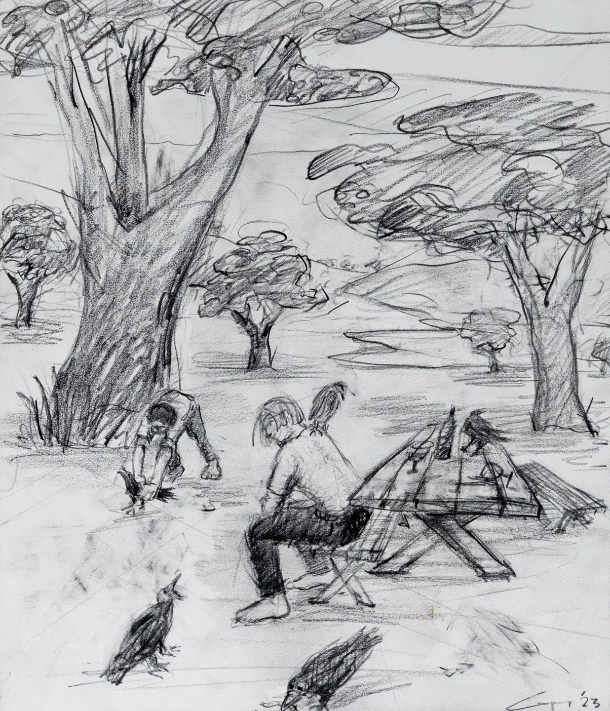 Crows Study I, Graphite, 14x16", 2023