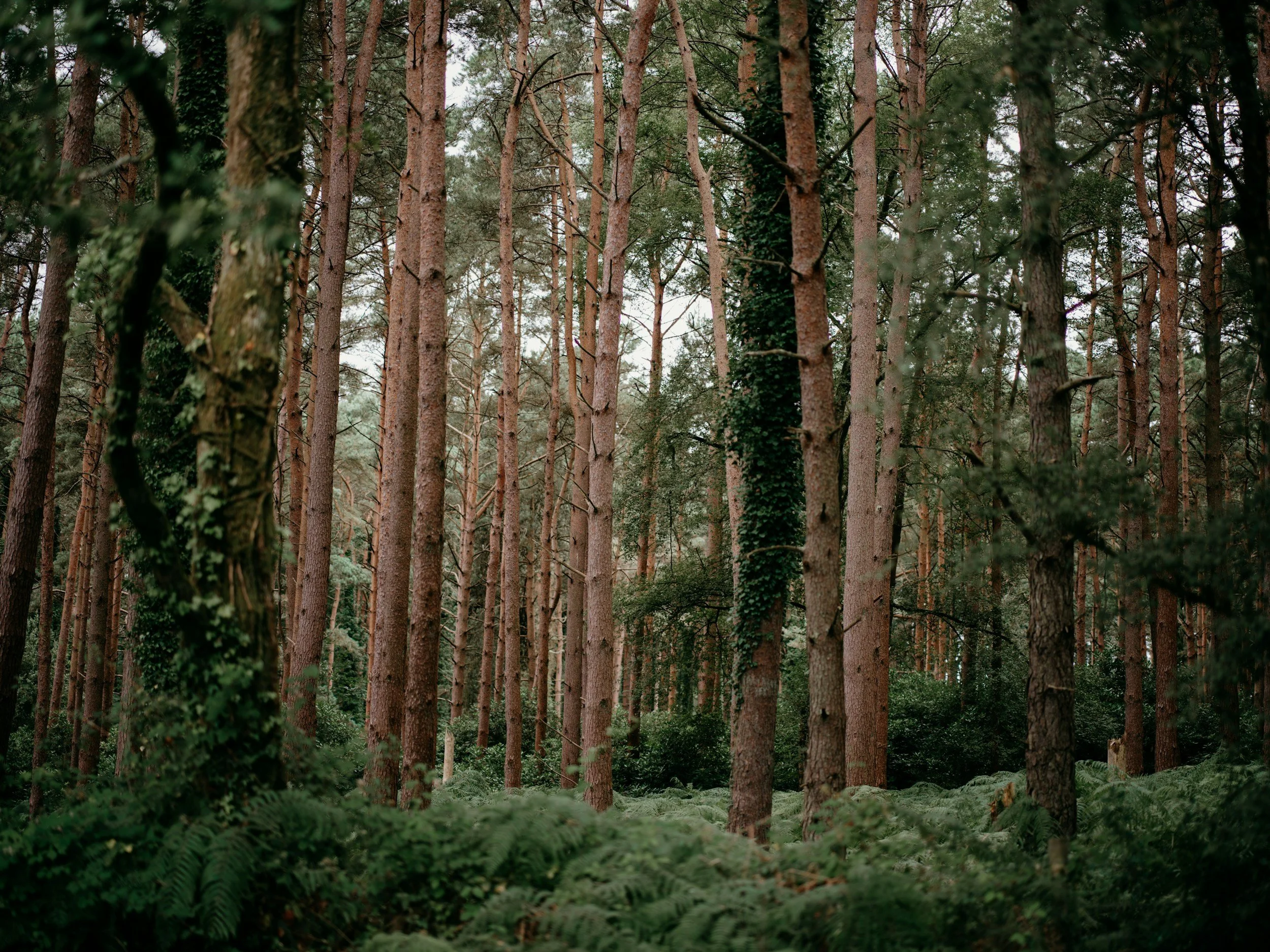 unsplash-image-aBiNA3A36hk.jpg