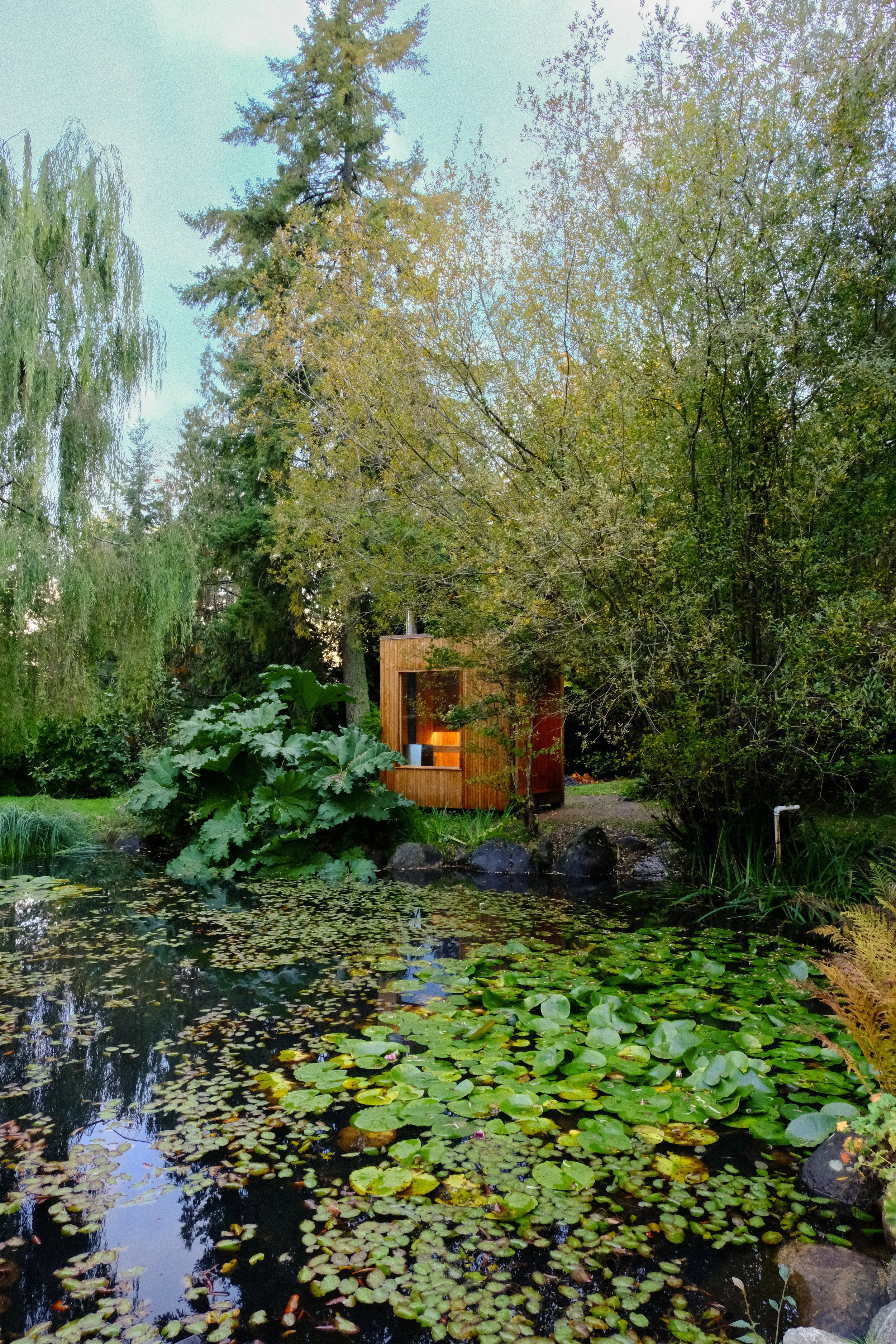 A small wooden sauna beside a pond with lily pads, surrounded by trees and lush greenery.