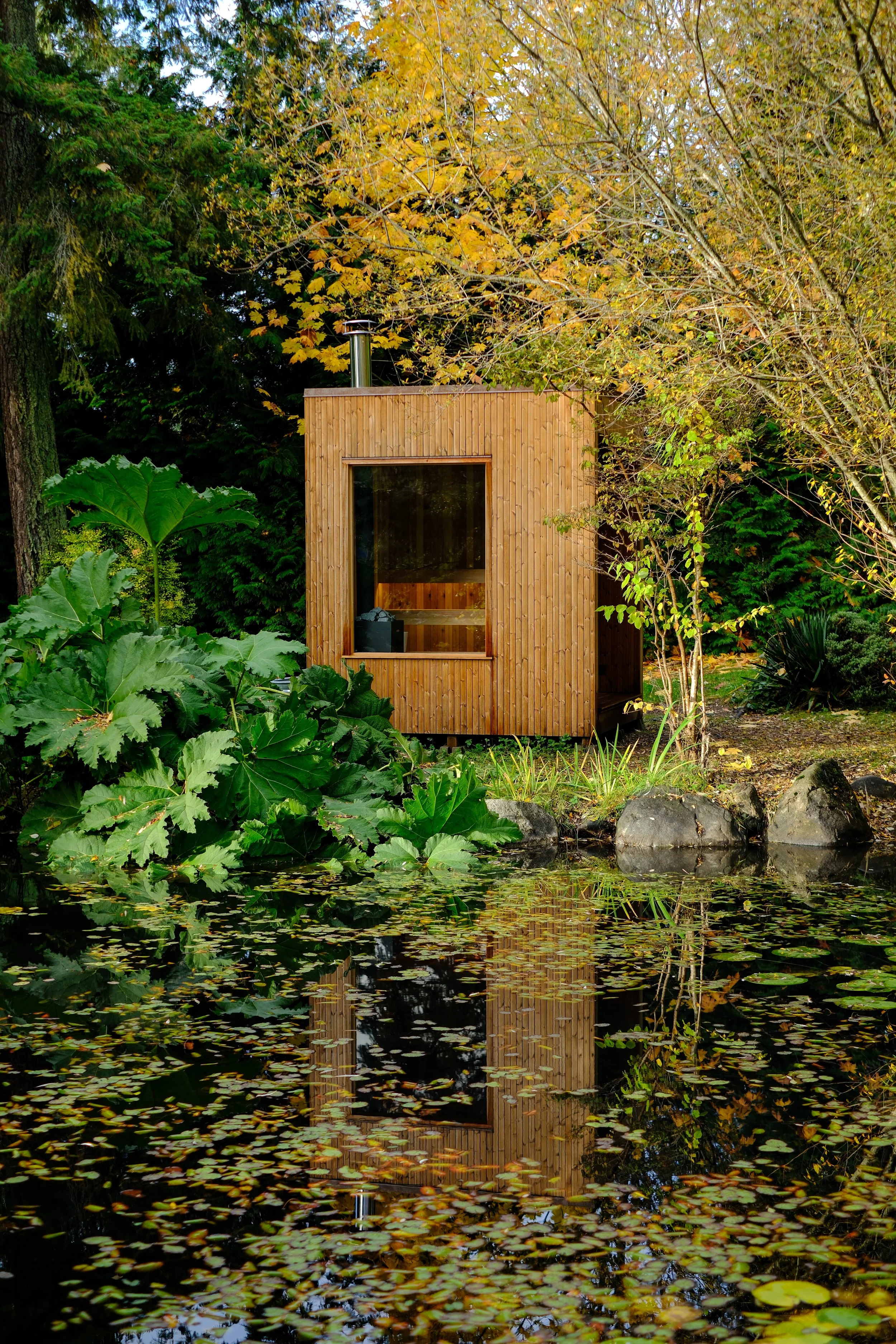 A small wooden sauna with a large window, situated near a pond surrounded by autumn trees and large green leaves, with rocks and lily pads in the water.