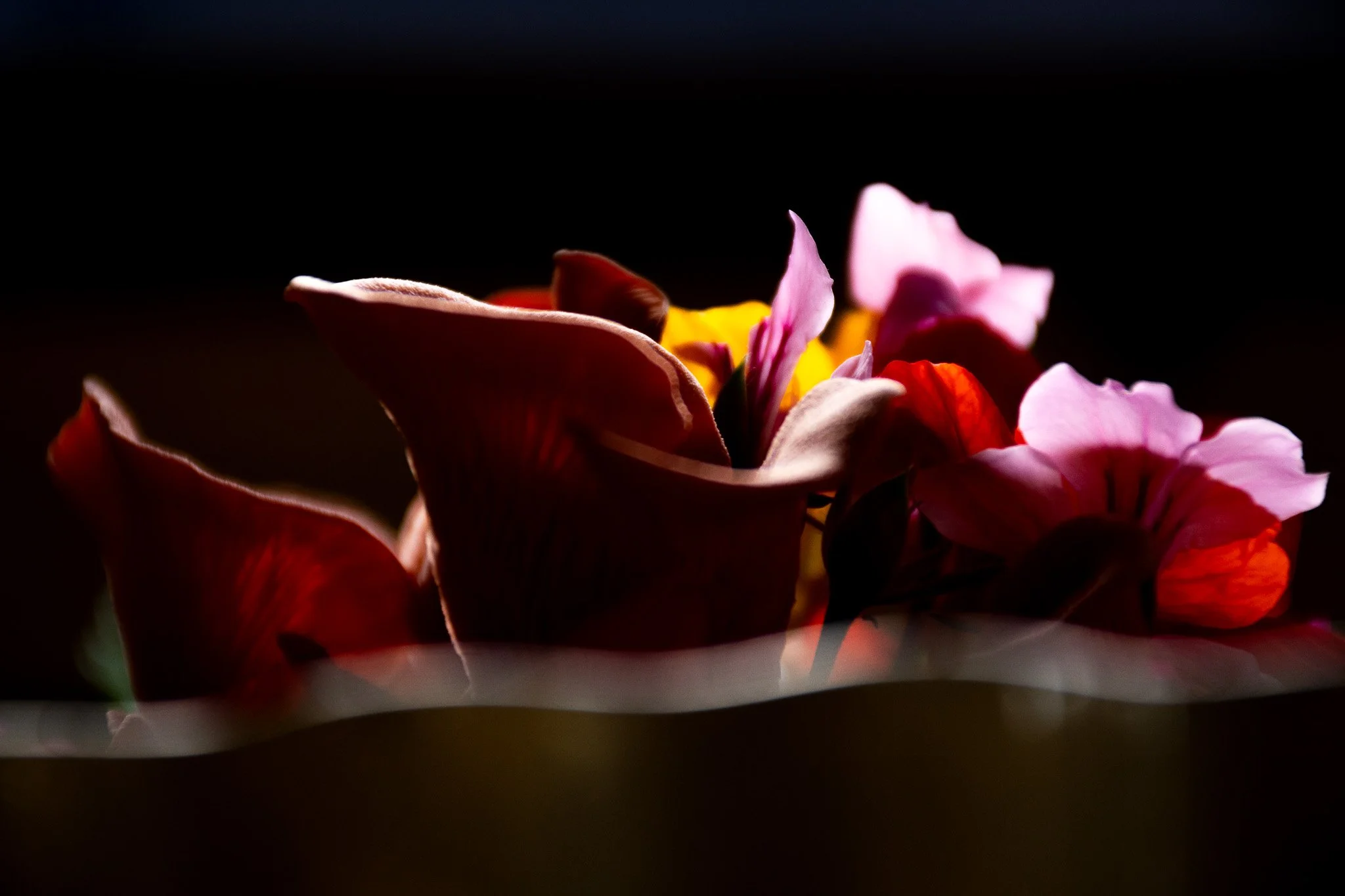 Dancing with Life’s Sacred Rhythms: Navigating Change, Loss, and Creation