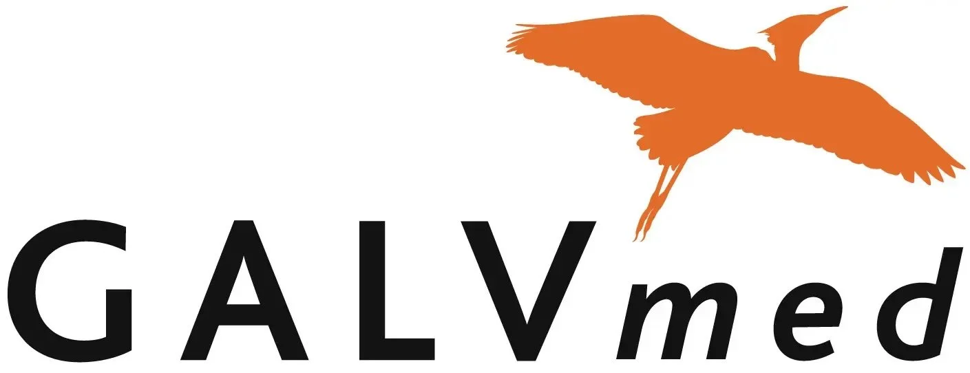 Logo with the text "GALVmed" and an orange flying bird silhouette above the text.