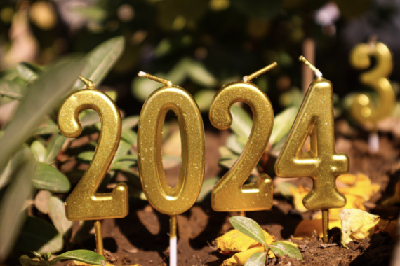 Gold glittery candles in the shape of '2024' placed in soil among green leaves and yellow flowers.