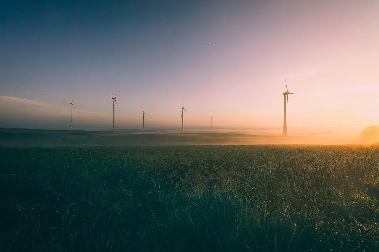 A field with wind turbines during sunset or sunrise, with the sky transitioning from dark blue to pink and orange hues.