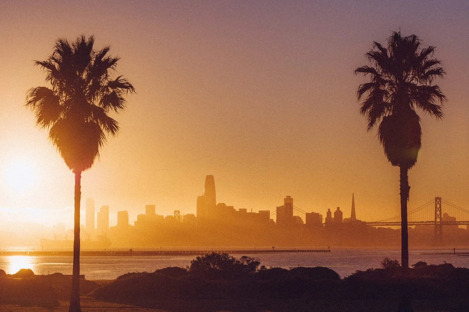Silhouettes of two palm trees with a city skyline and a bridge in the background at sunset over the water.