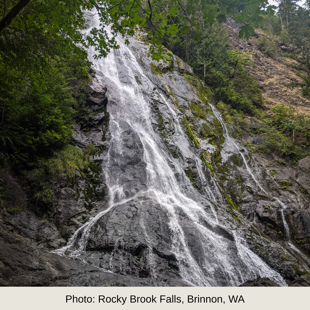 Playing with Your Words