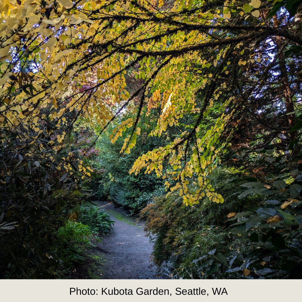 Media Kit / Visual Report