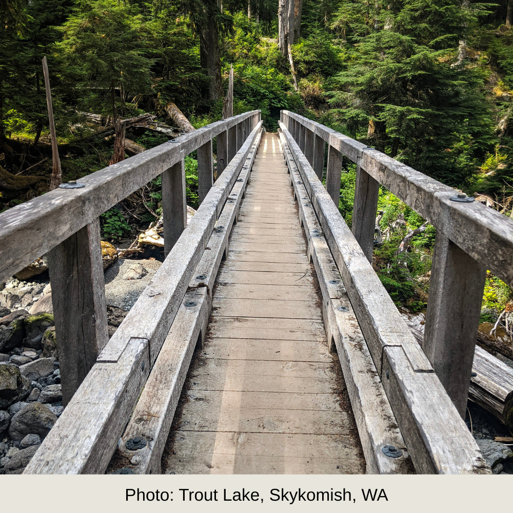 Photo of a wooden bridge in the woods, caption reads, "Photo: Trout Lake, Skykomish, WA"