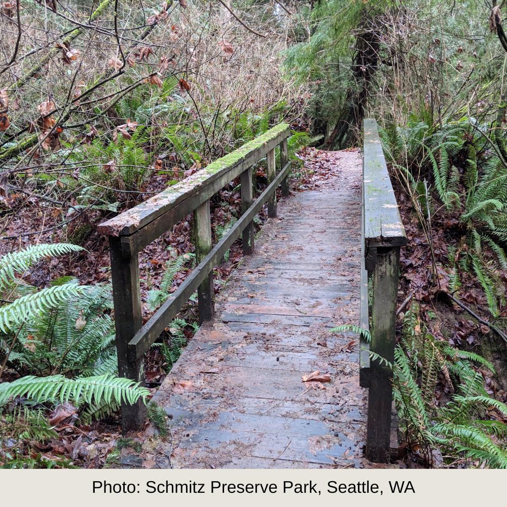 Editing (Article/Short-Form Content)