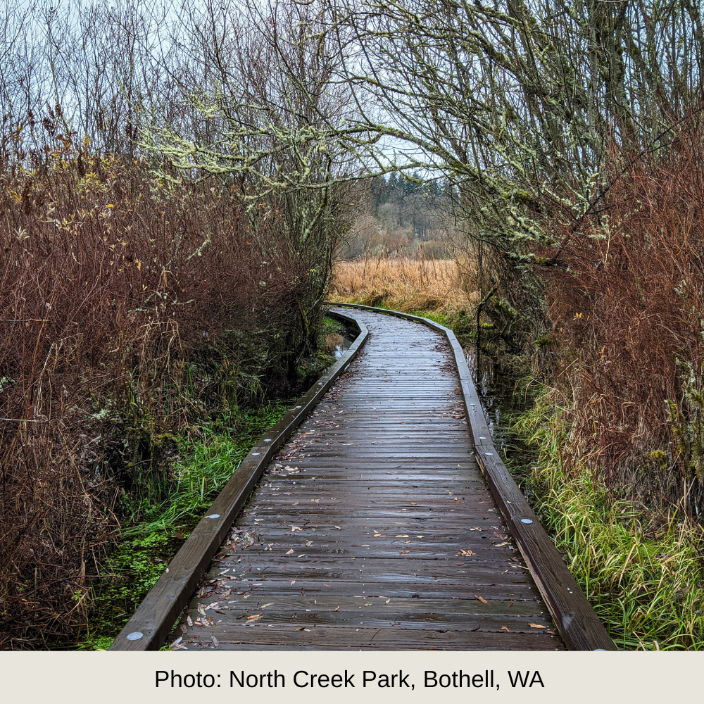 Nonprofit & Association Support