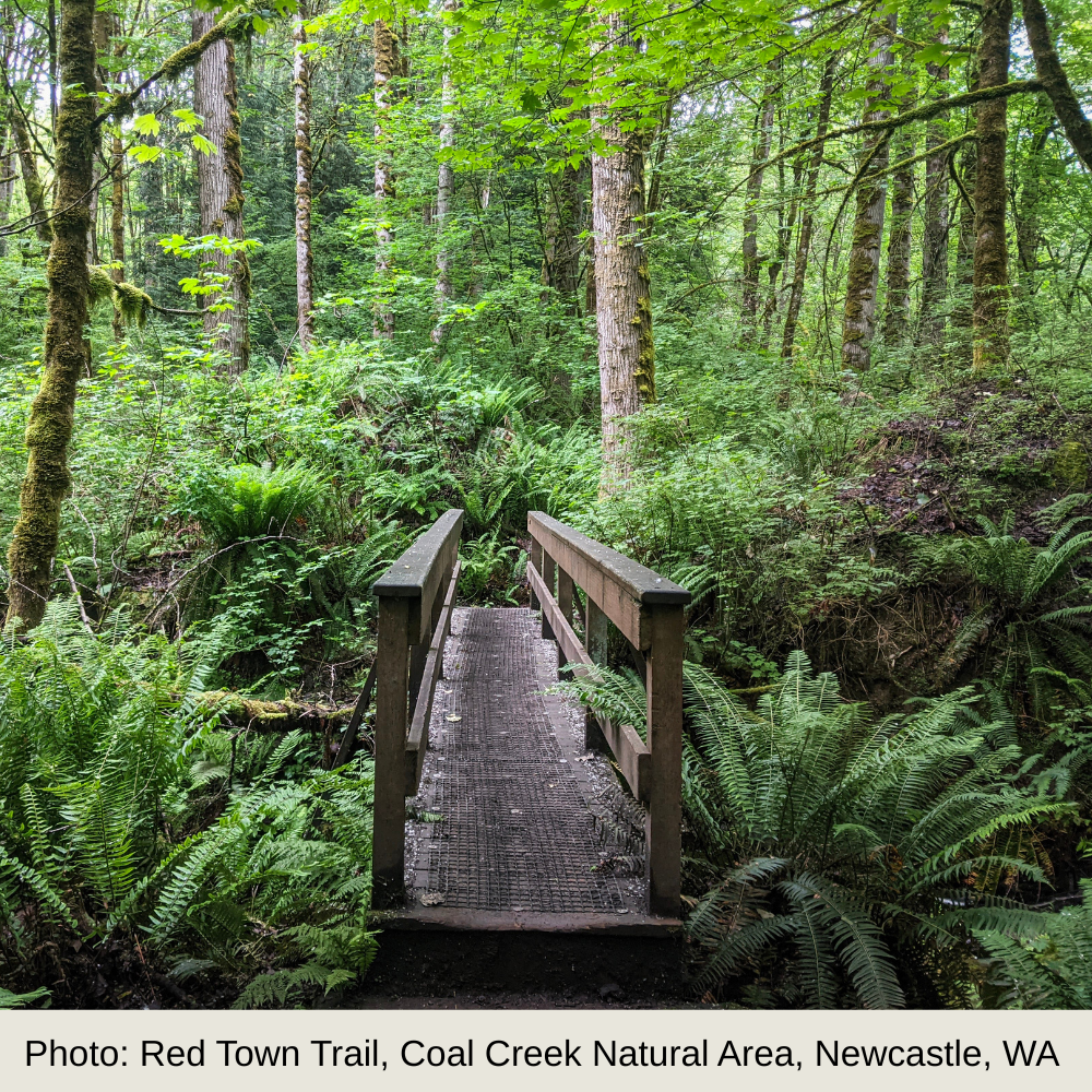 Query & Synopsis Development