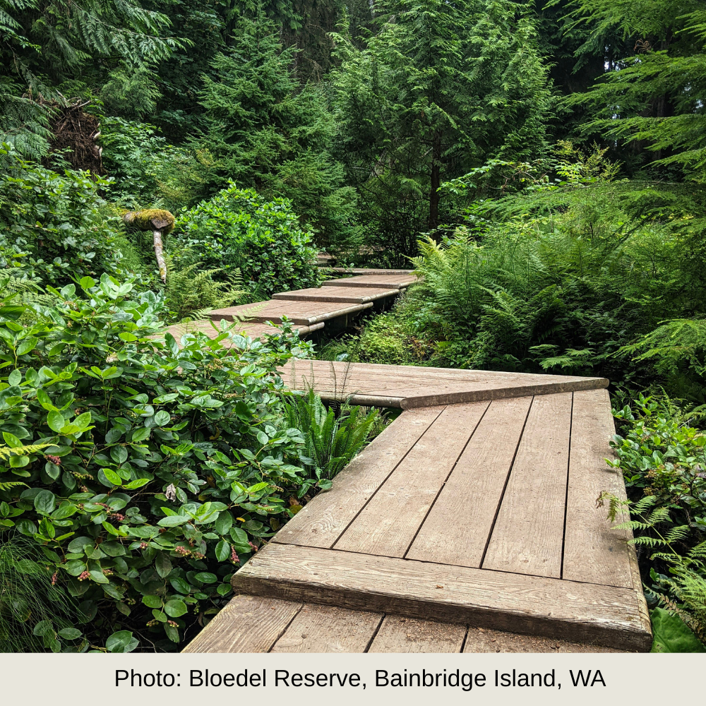 Developmental Editing