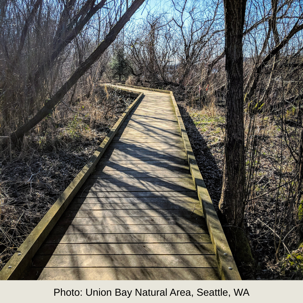 Event Branding System