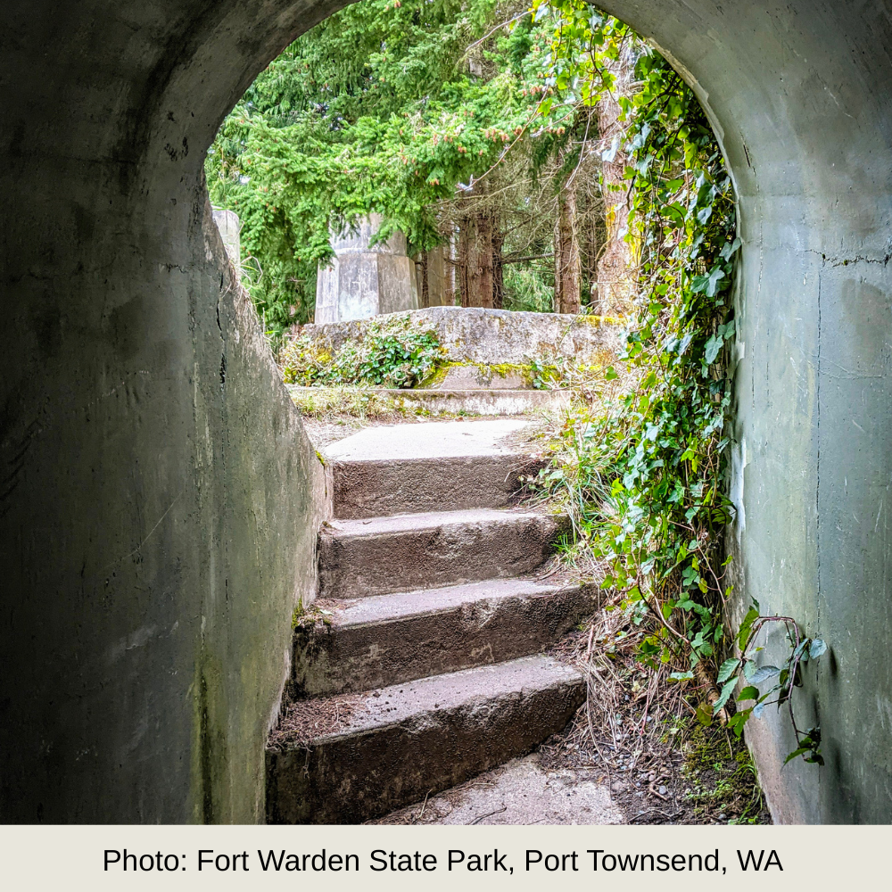 Newsletter & Email Marketing