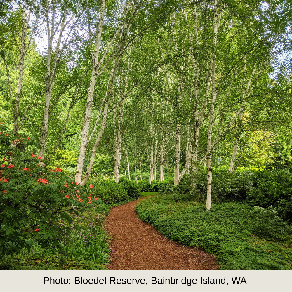 Website Copy & Upkeep