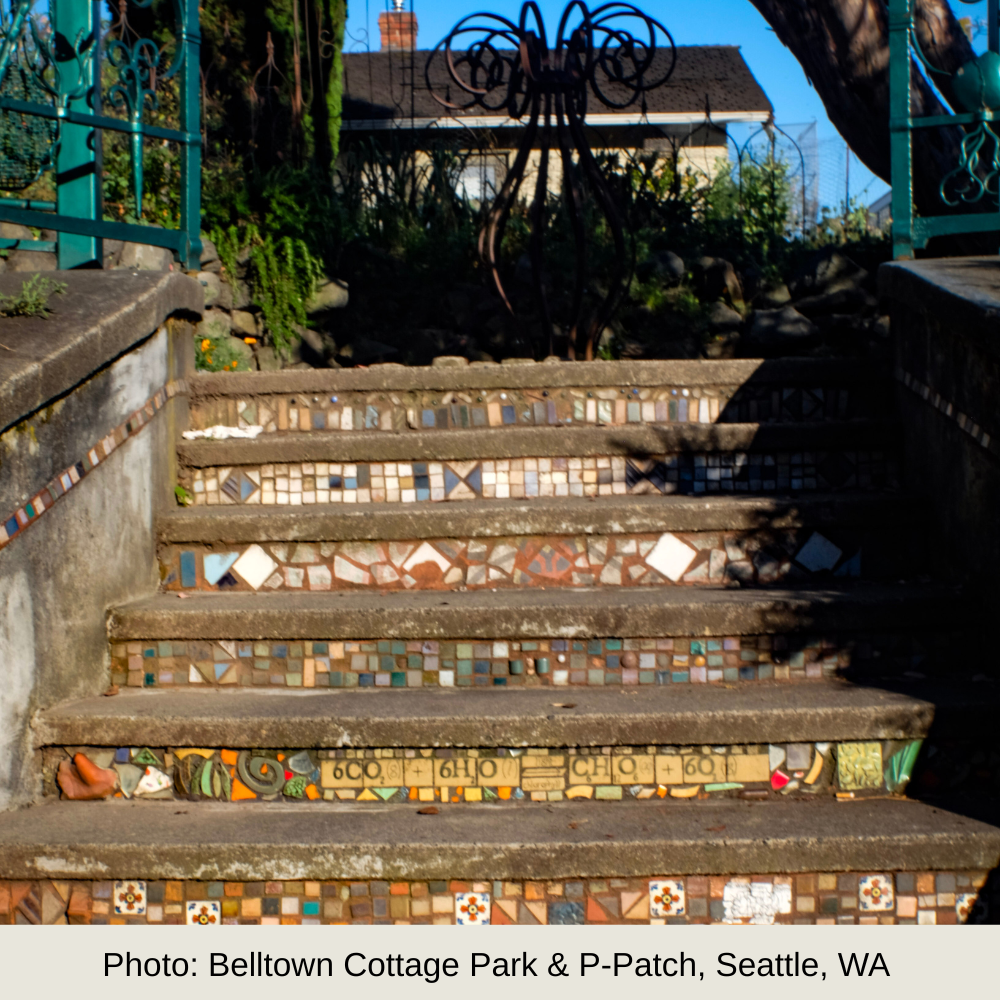 Small Business Website