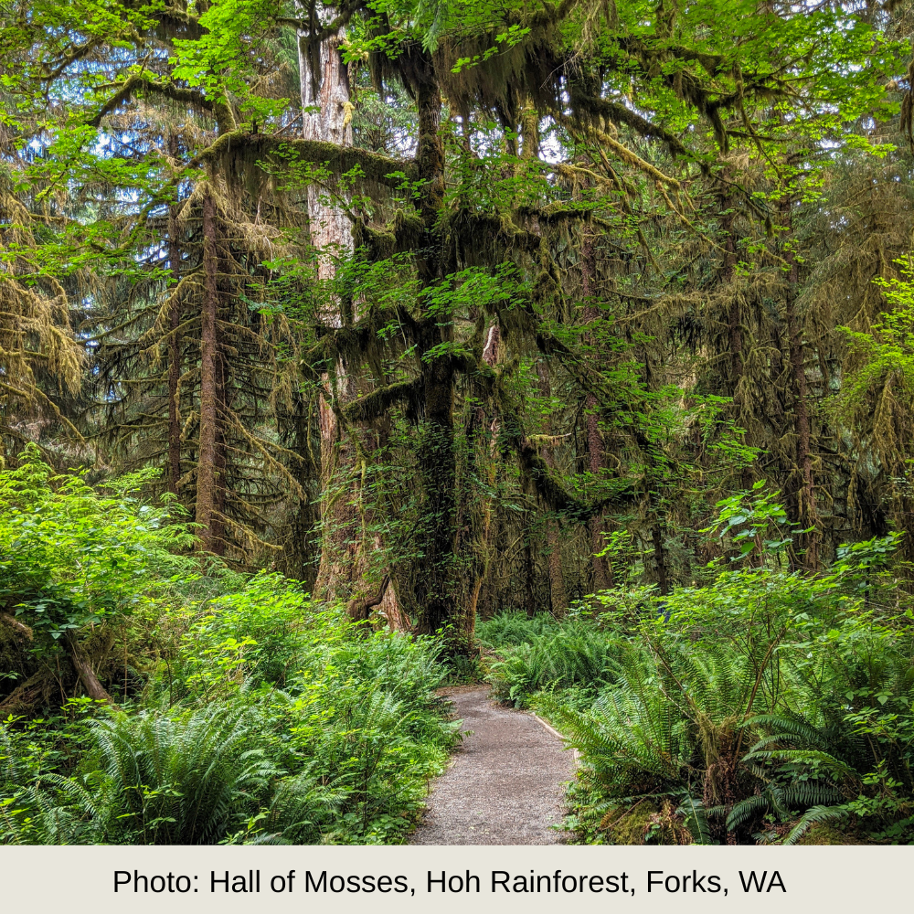 Custom Branding Package