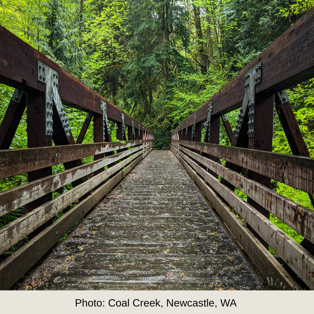 Small Business Logo & Brand Essentials