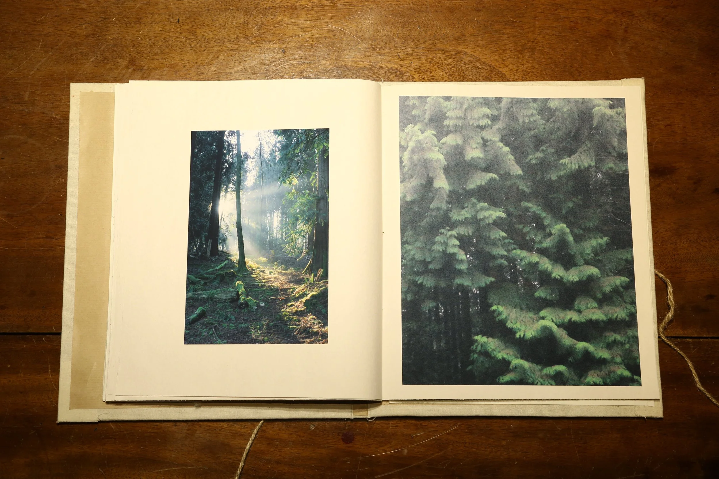 photobook-page19.JPG