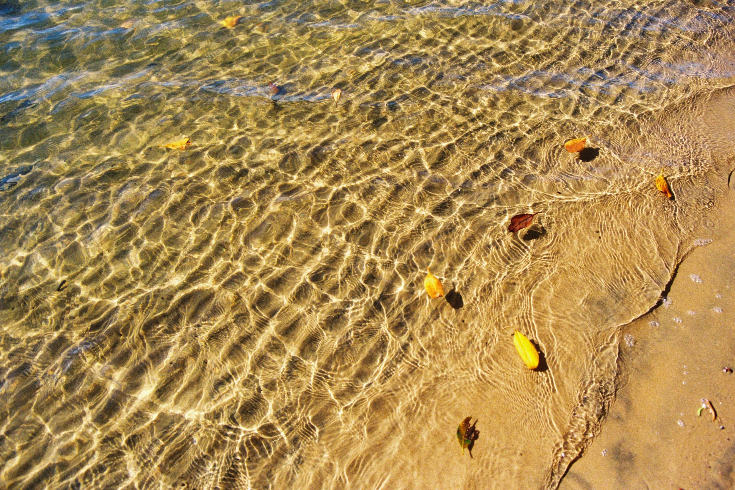 auseastcoast-14 3.JPG