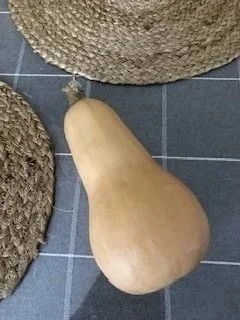 Fall Squash Growing Guide