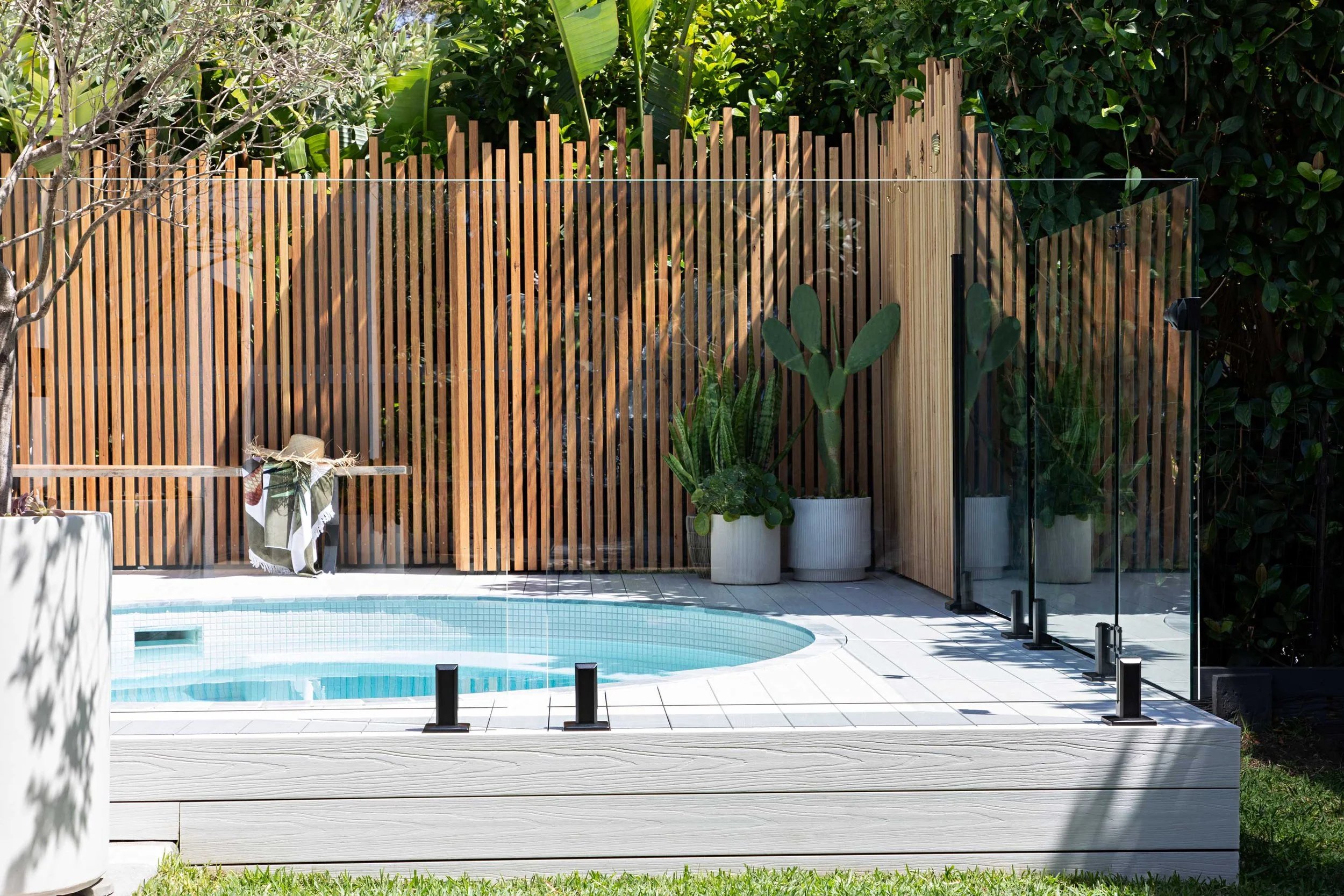 A backyard featuring a small swimming pool with a transparent glass fence, wooden privacy fence, potted plants including a cactus, and lush greenery in the background.