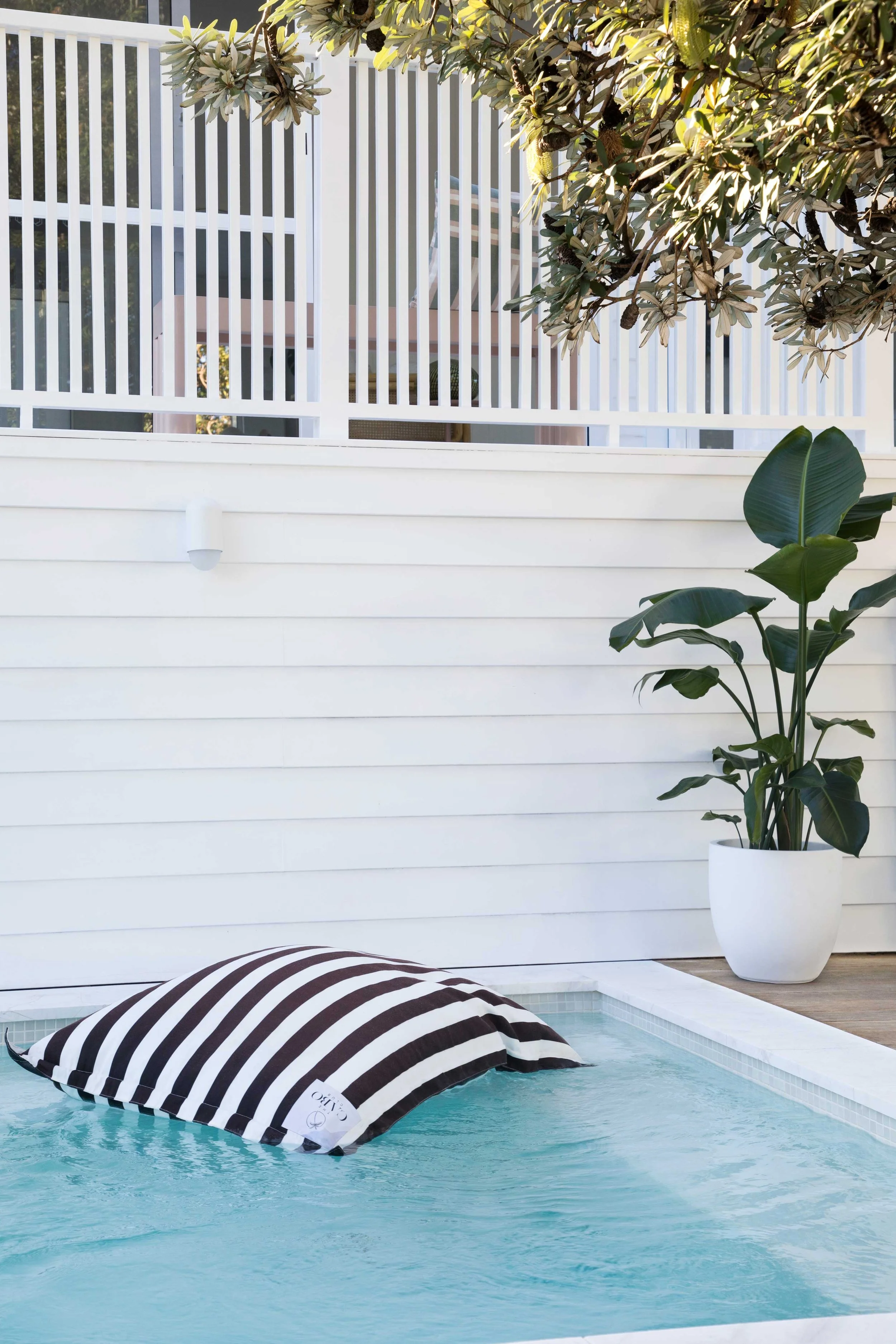 A backyard pool with a striped black and white pillow floating on the water, a large potted plant with big green leaves beside the pool, and a white fence with green leafy trees in the background.