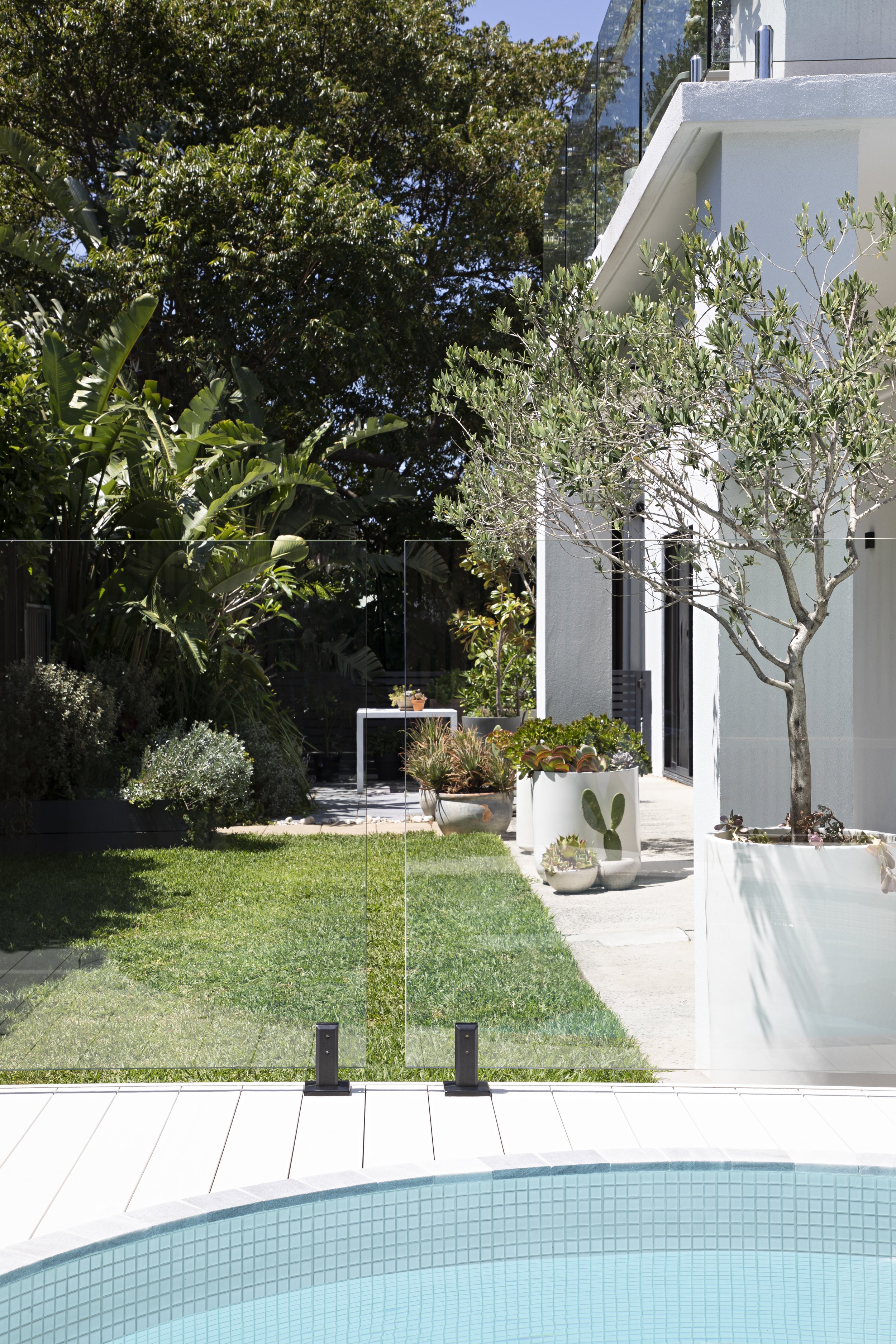 Modern backyard with a swimming pool, a white fence, potted plants, and a lounge table with a potted plant, surrounded by trees and greenery.