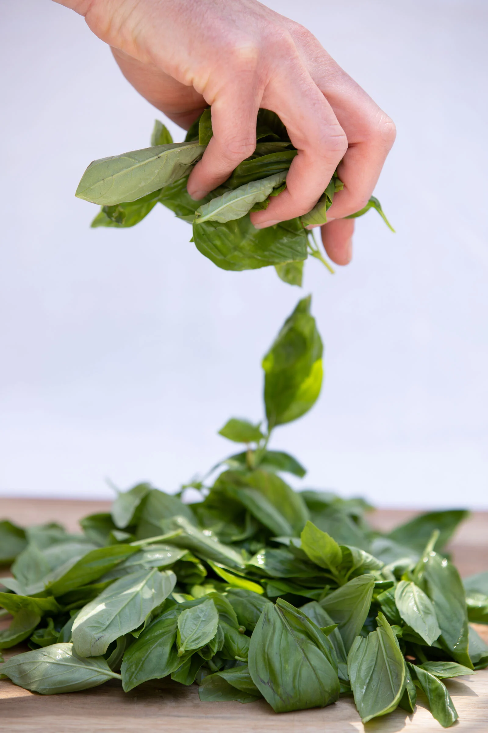 A hand picking fresh basil leaves from a pile of basil on a wooden surface.