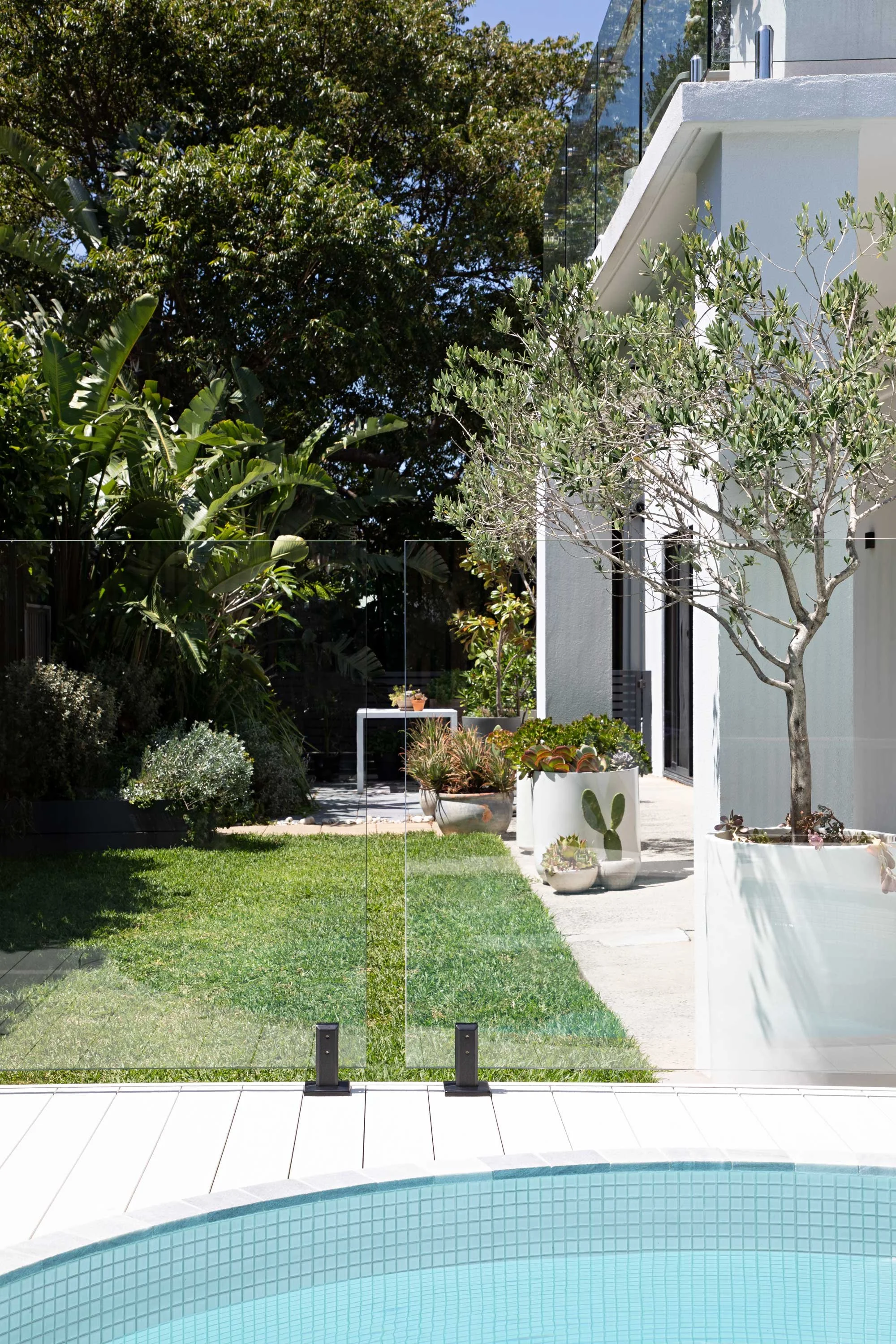 View of a modern house with large glass windows, a white exterior, and a balcony. The backyard has potted plants, a small tree, lush greenery, and a swimming pool in the foreground. The area is sunny with blue skies.