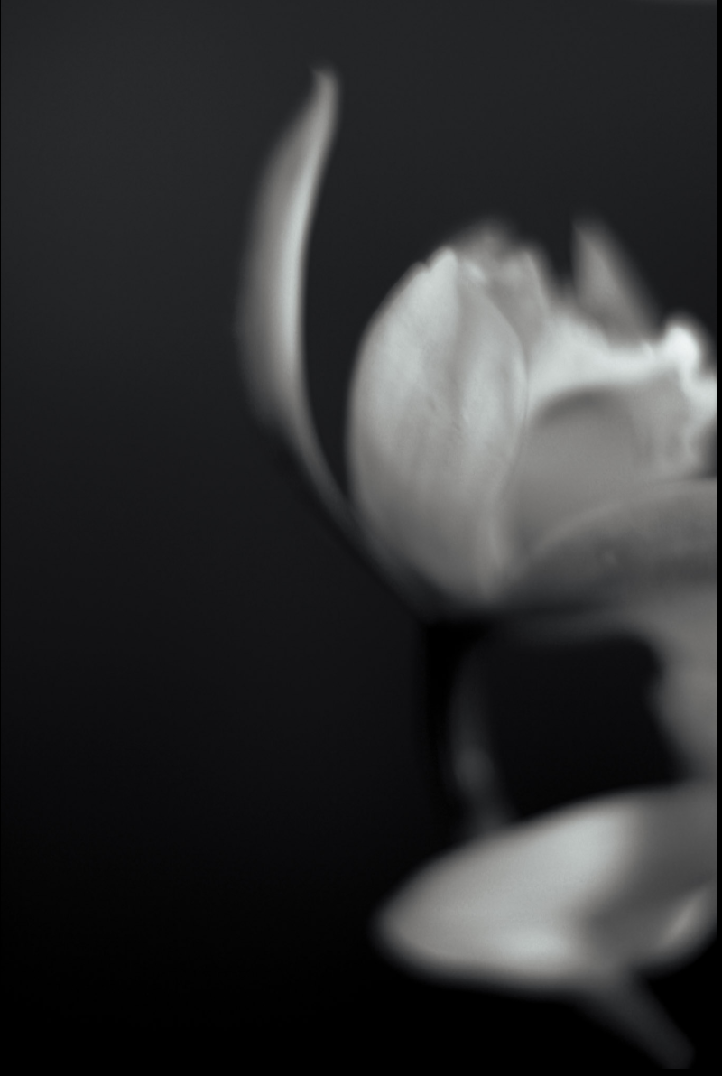 Screenshot 2025-08-20 at 2.11.51 pm.png