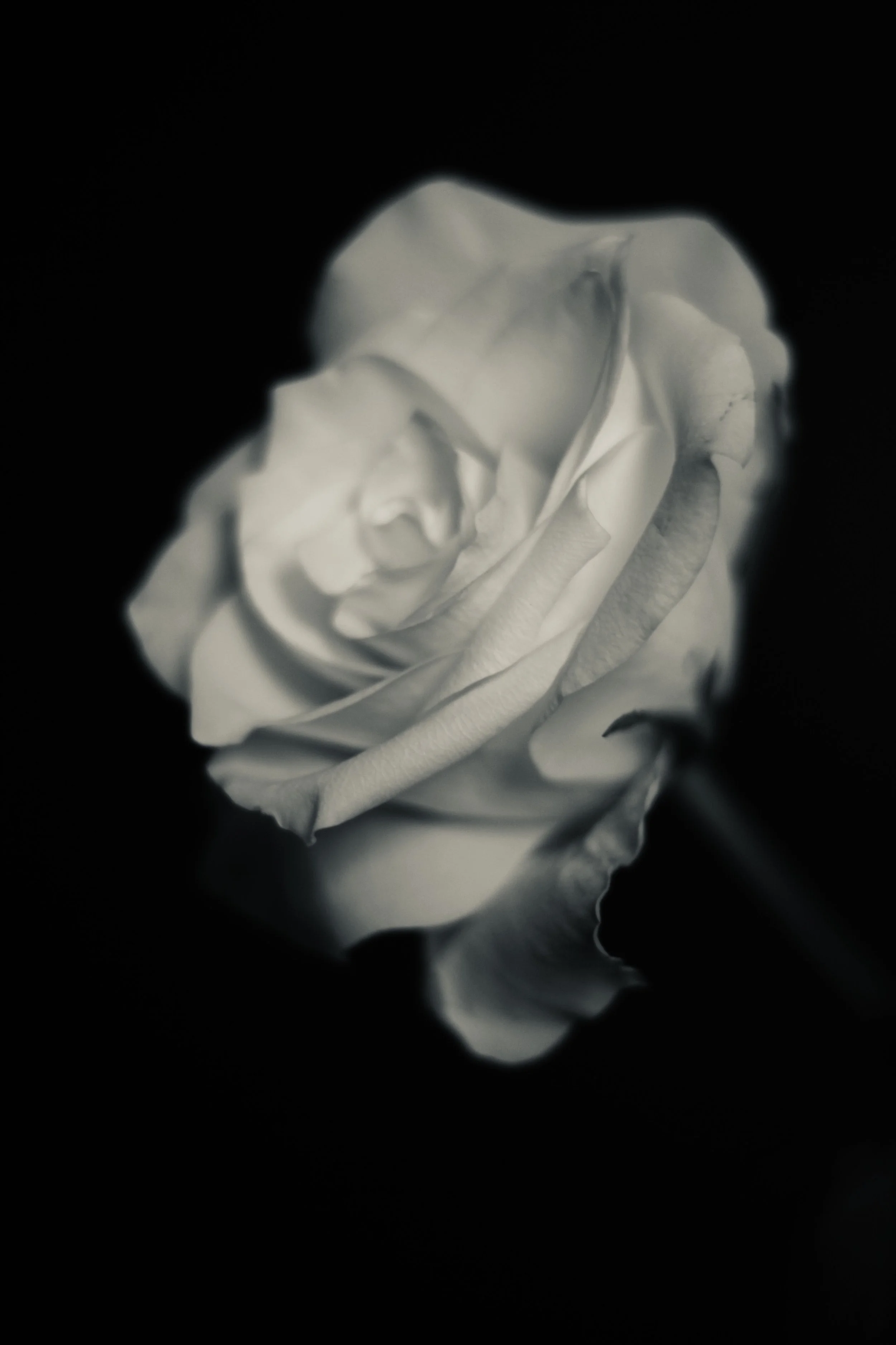 IMG_7688.jpeg