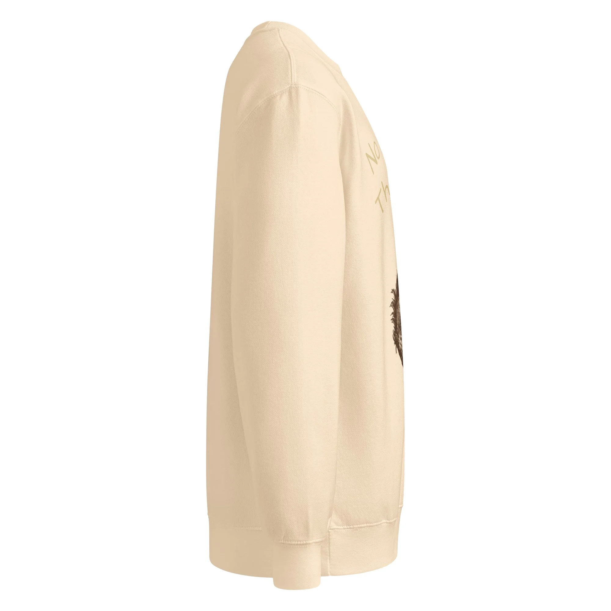 unisex-premium-crew-neck-sweatshirt-sandshell-right-6886c94a20008.jpg