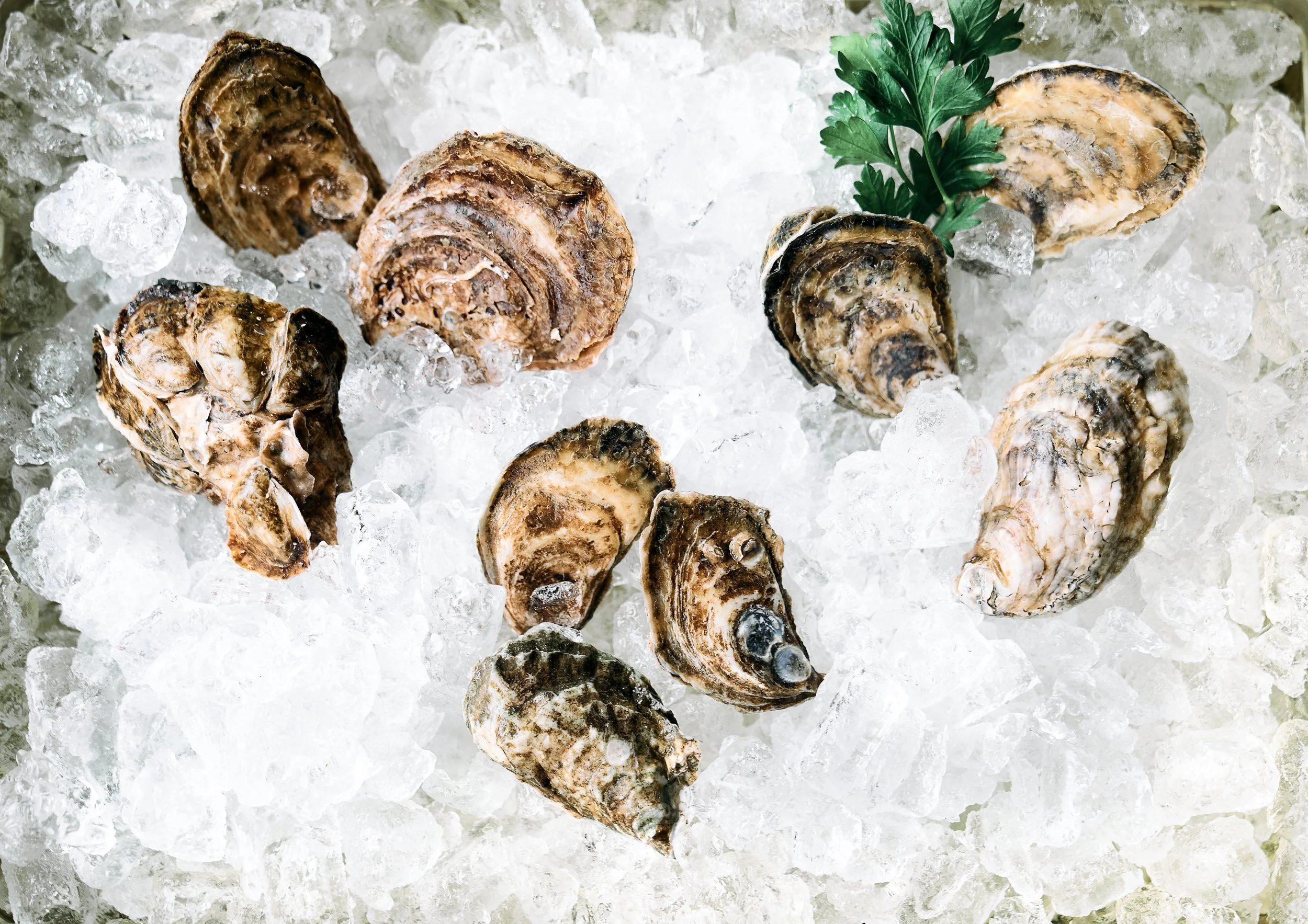 10-Course Tasting Menu