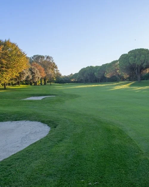 View of a golf course with a sand trap in the foreground, green fairway, and trees lining the sides under a clear blue sky.