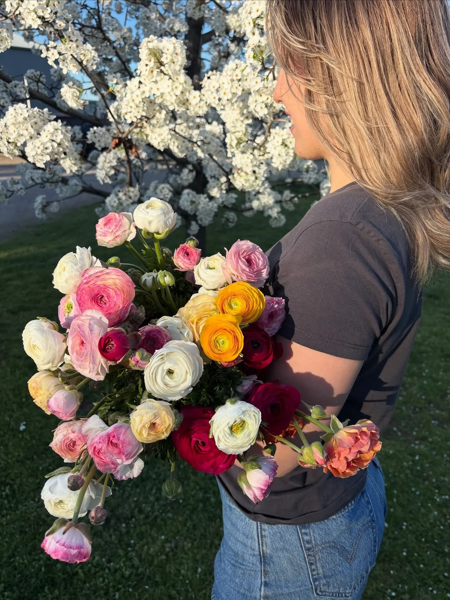 🌸Ranunculus🌸
First pick of ranunculus for the season! These beauties are truly one of my favourite flowers to grow and arrange with. 🌼🌼🌼

All orders placed will feature these gorgeous blooms. Order through our website www.chelsiefloraldesign.com