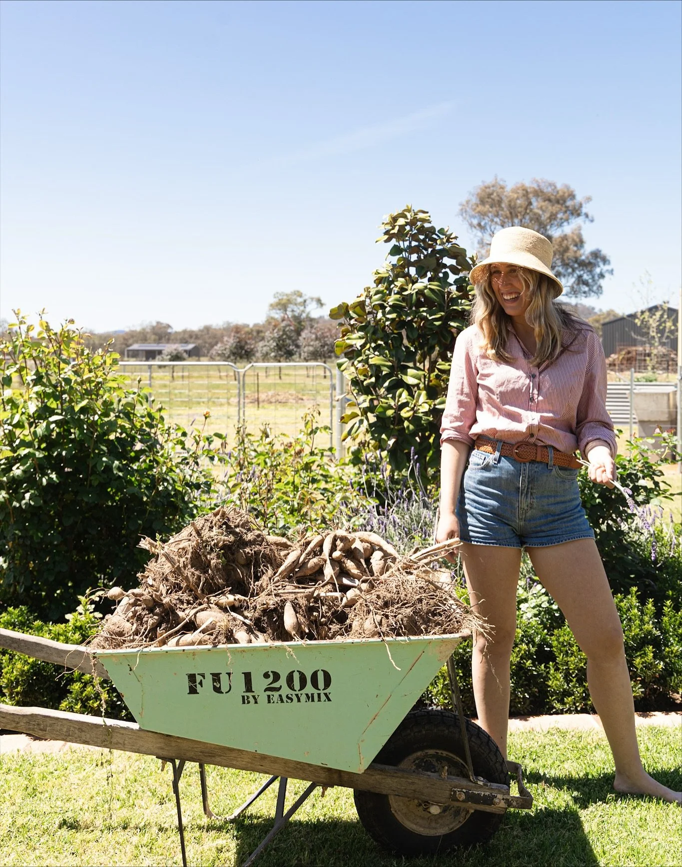 🌸🌸 DAHLIA TUBERS FOR SALE🌸🌸
I&rsquo;ve got way too many dahlia tubers and not enough space to plant them all, so it&rsquo;s time to share the love! 🌸🌸🌸

We&rsquo;re now offering dahlia tuber mixed packs for sale @pembertonpantry, alongside our