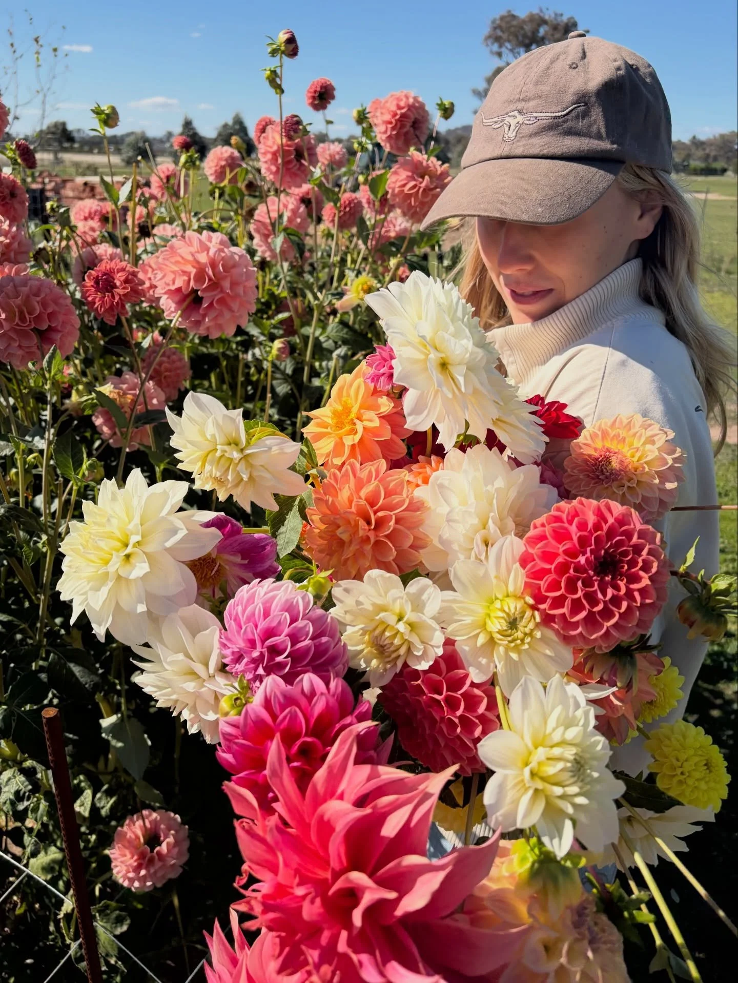 Fresh dahlia and zinnia bunches, grown right here on the farm 🌸🐝
Available tomorrow @pembertonpantry from 8am&ndash;12:30pm. ☕️☕️
Get in quick, limited availability.