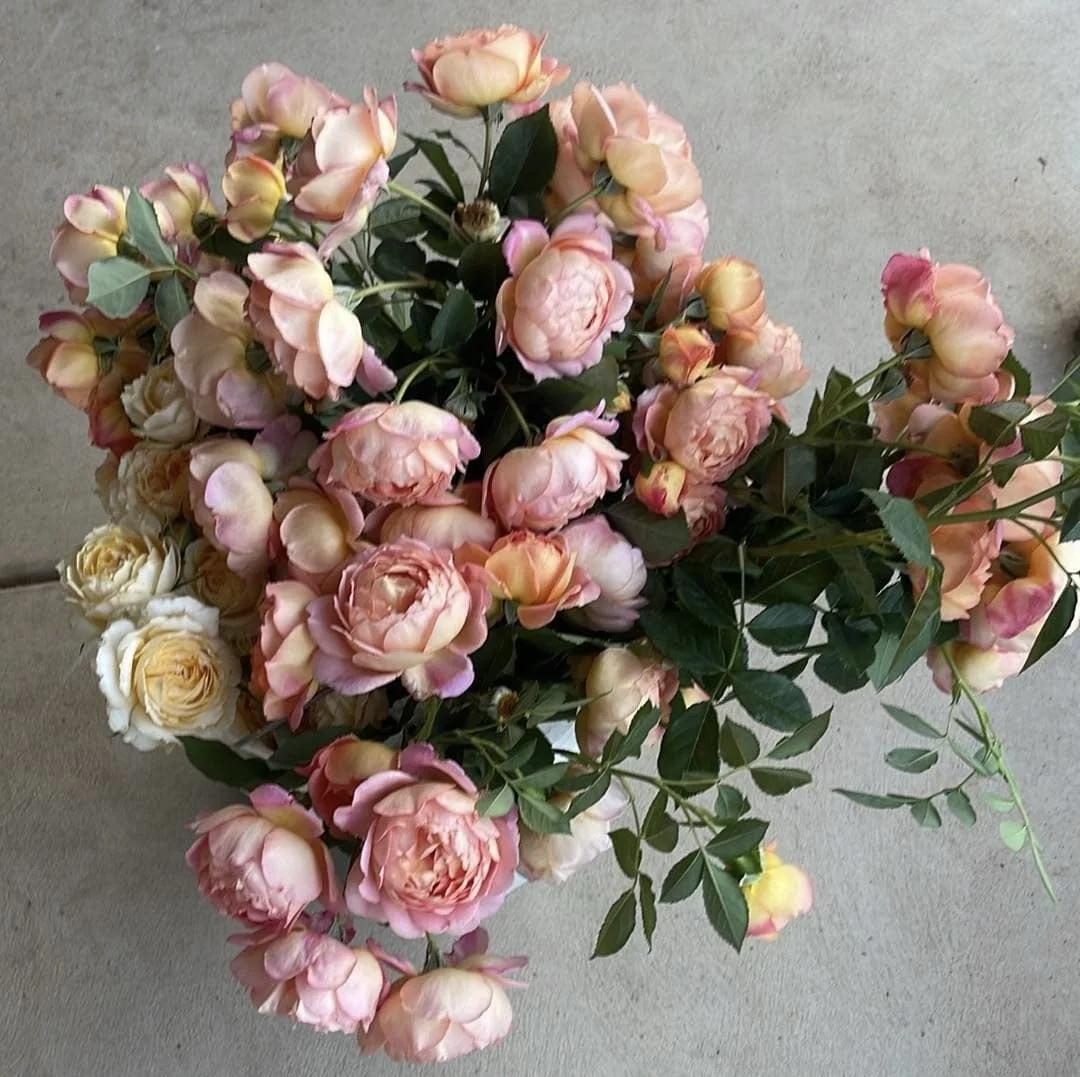 Bouquet of pink and cream roses on a light gray surface.