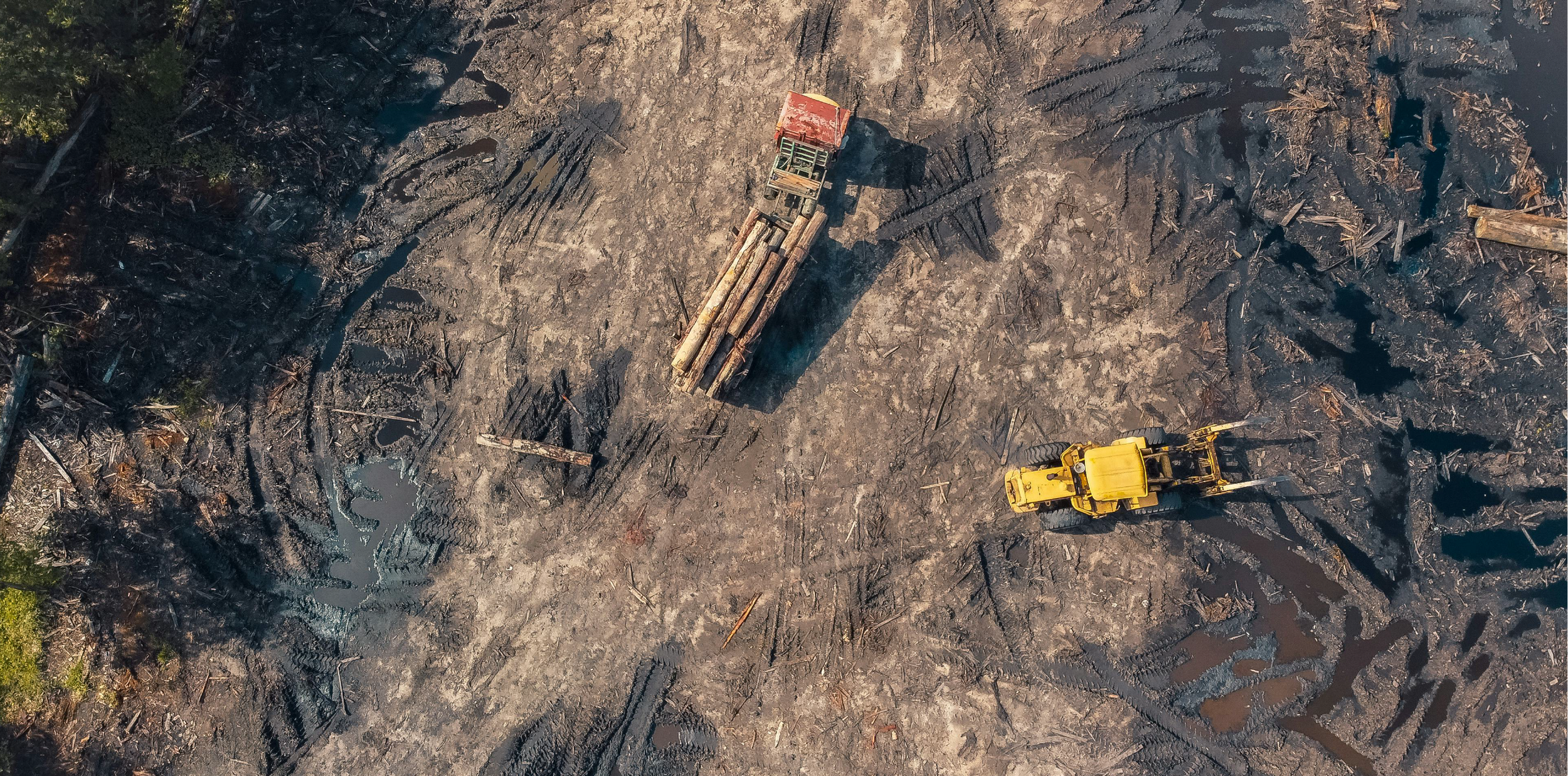 An aerial view of a deforested area with a yellow bulldozer and a flatbed truck carrying logs.
