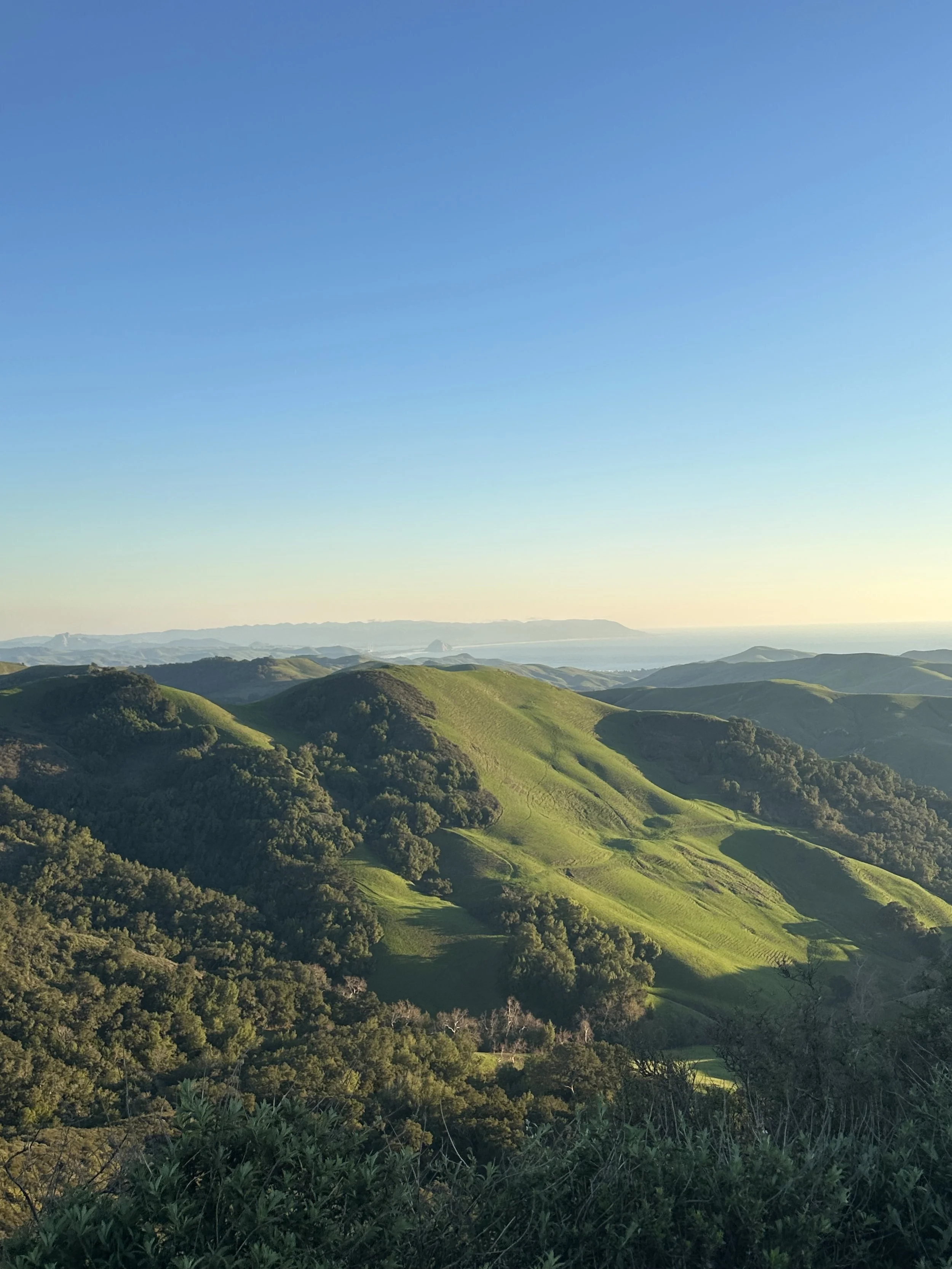 MINDFULLY SELECTING YOUR FIRST TRAVEL THERAPY JOB