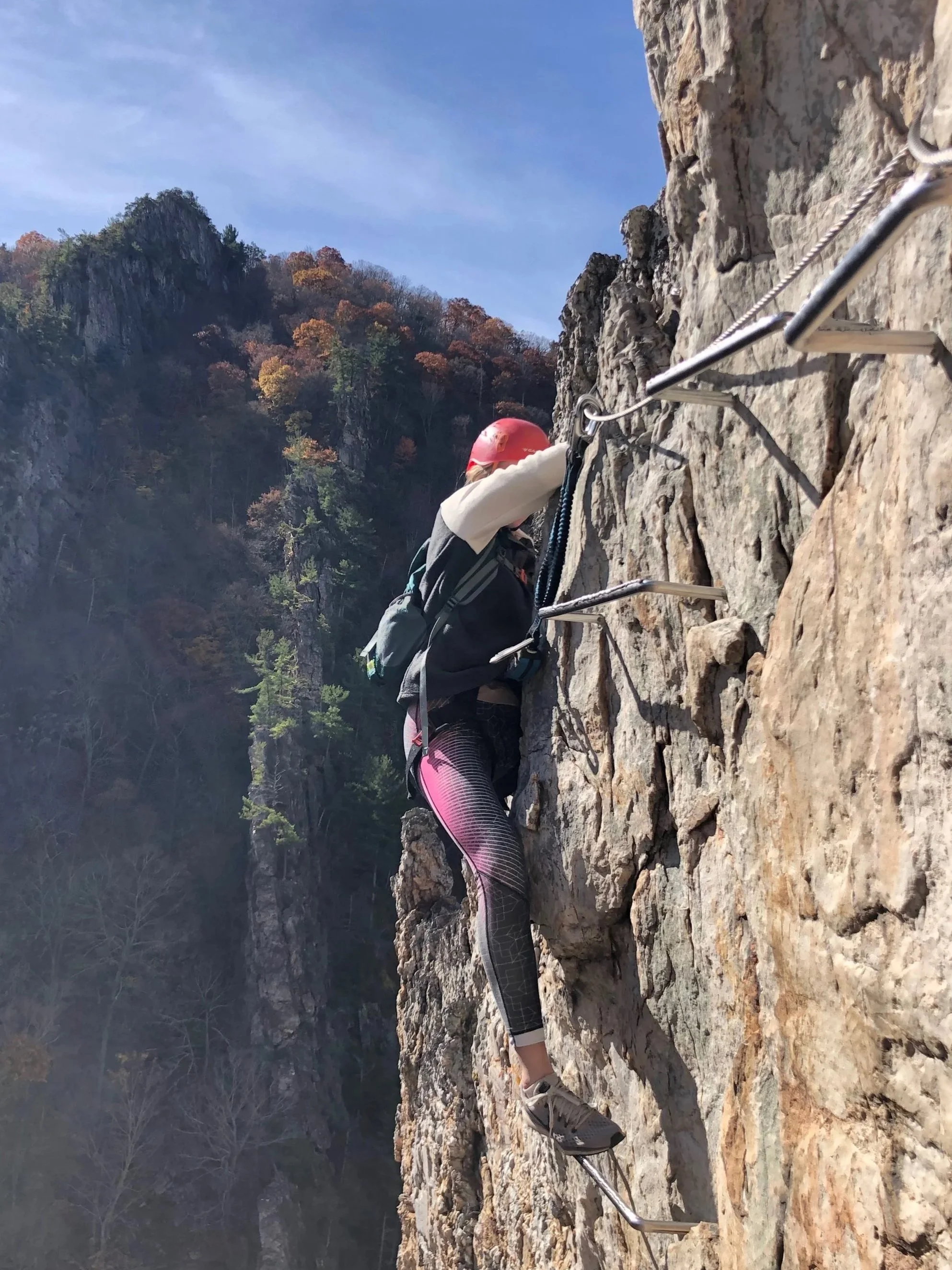 A person rock climbing on a steep cliff with metal rungs and a safety harness, set against a mountainous landscape with trees.