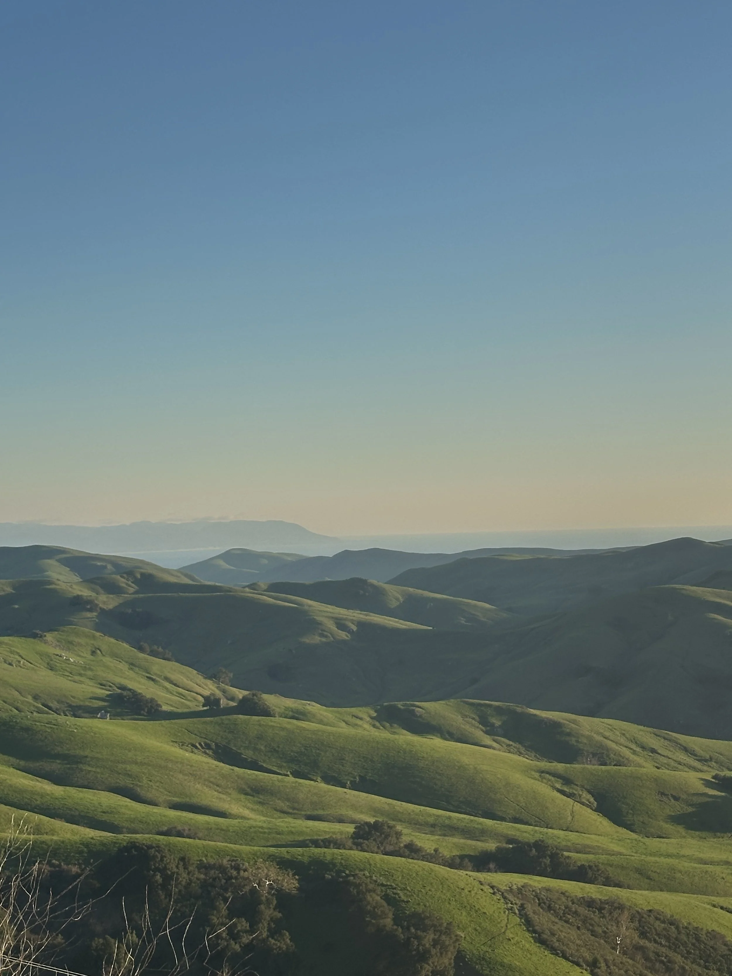 Green rolling hills under a clear blue sky with distant mountains.