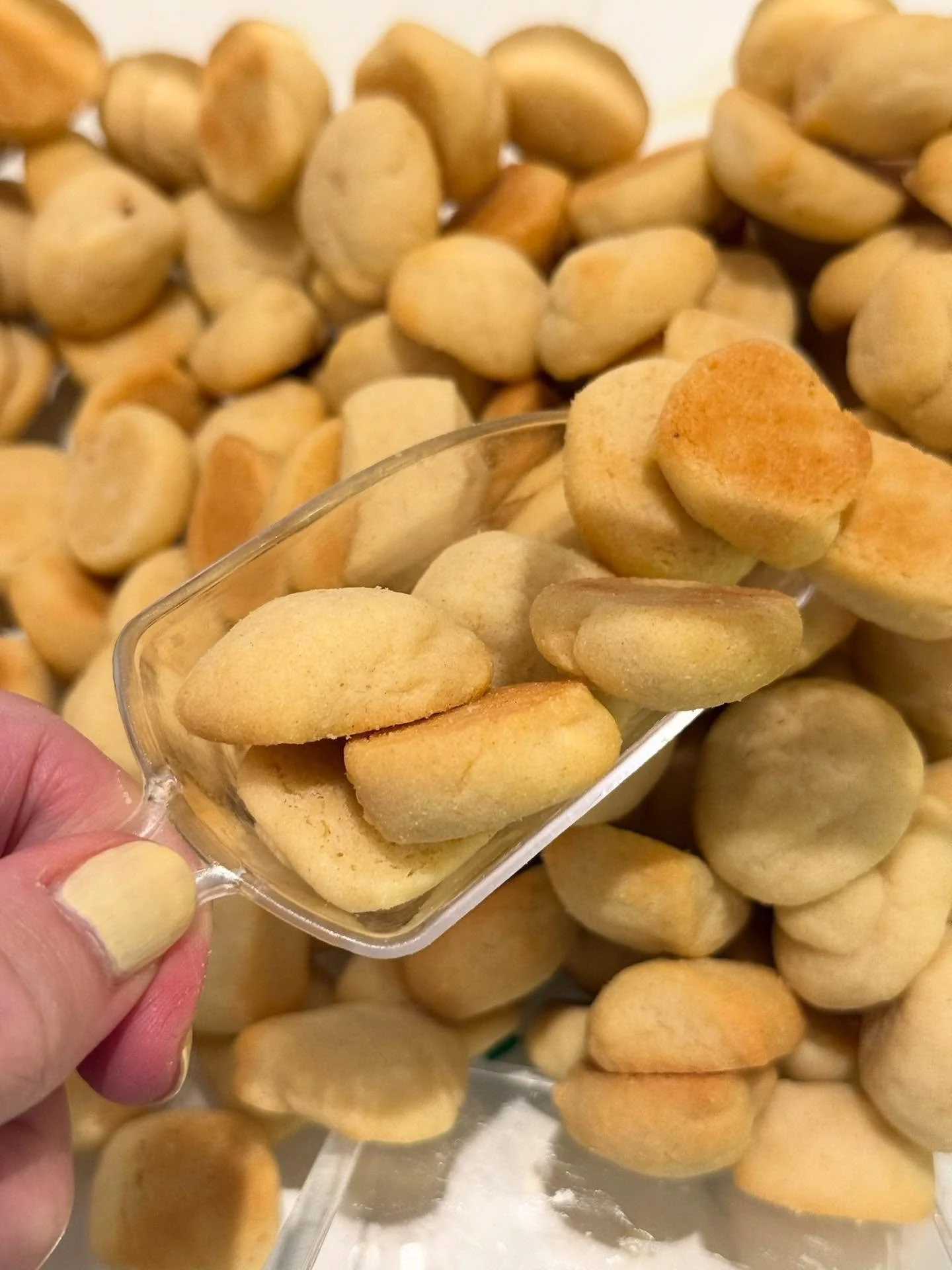 The latest scoop 🤙🏻 

#happycrumbco #sugarcookie #nyceats