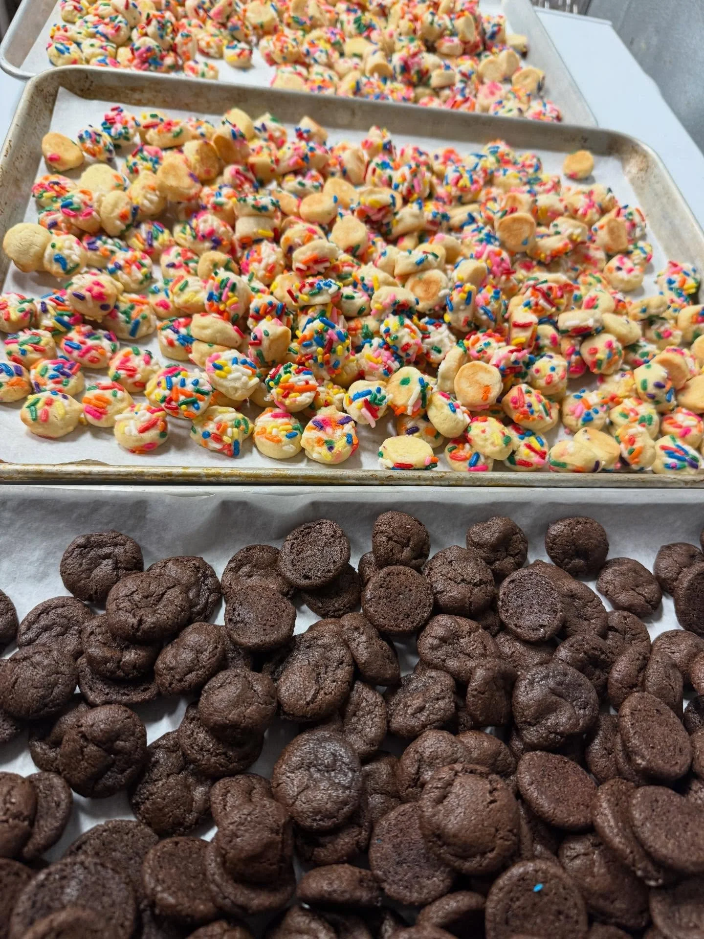 It&rsquo;s beginning to look a lot like holiday season...🎁💛