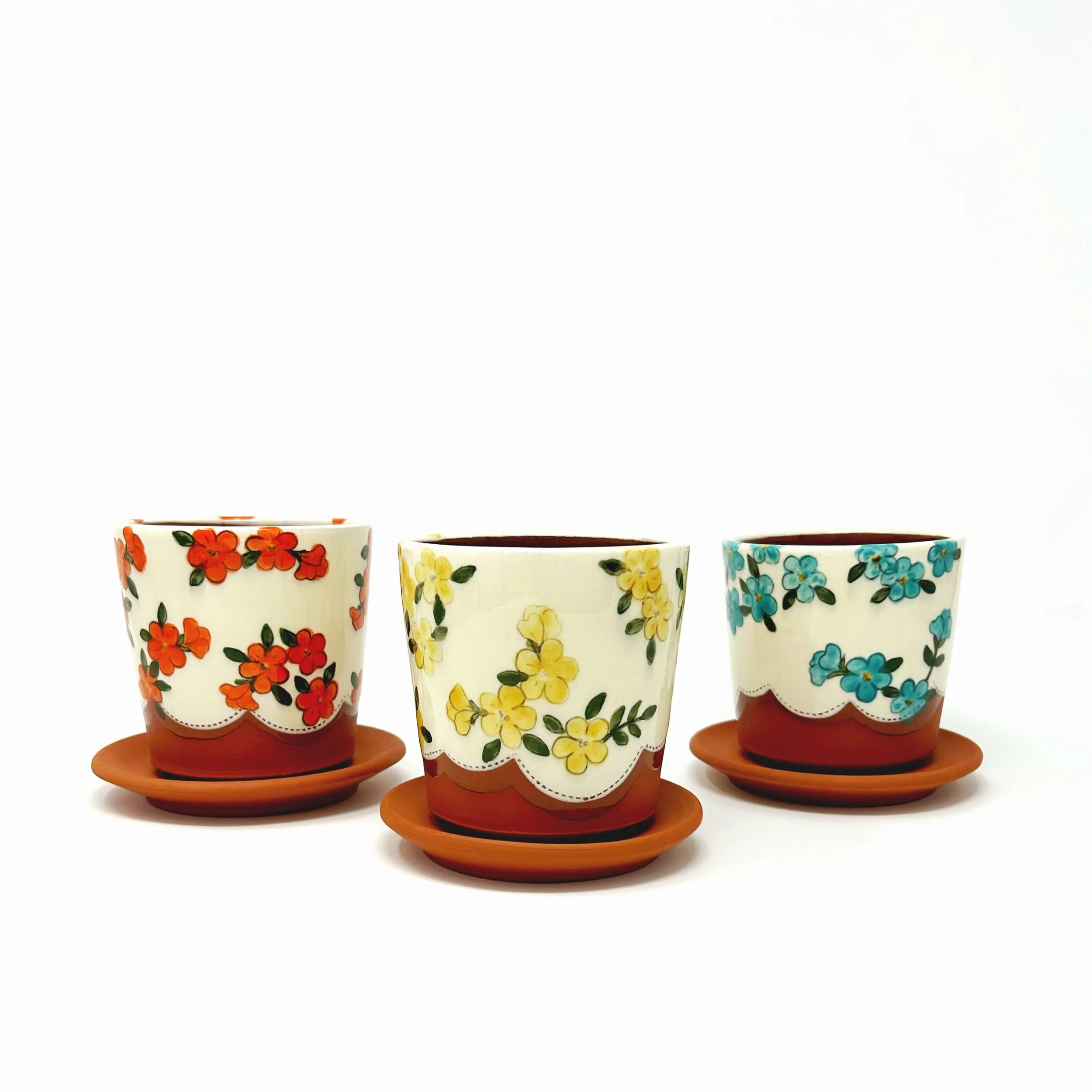 Succulent Planter Pre-Order