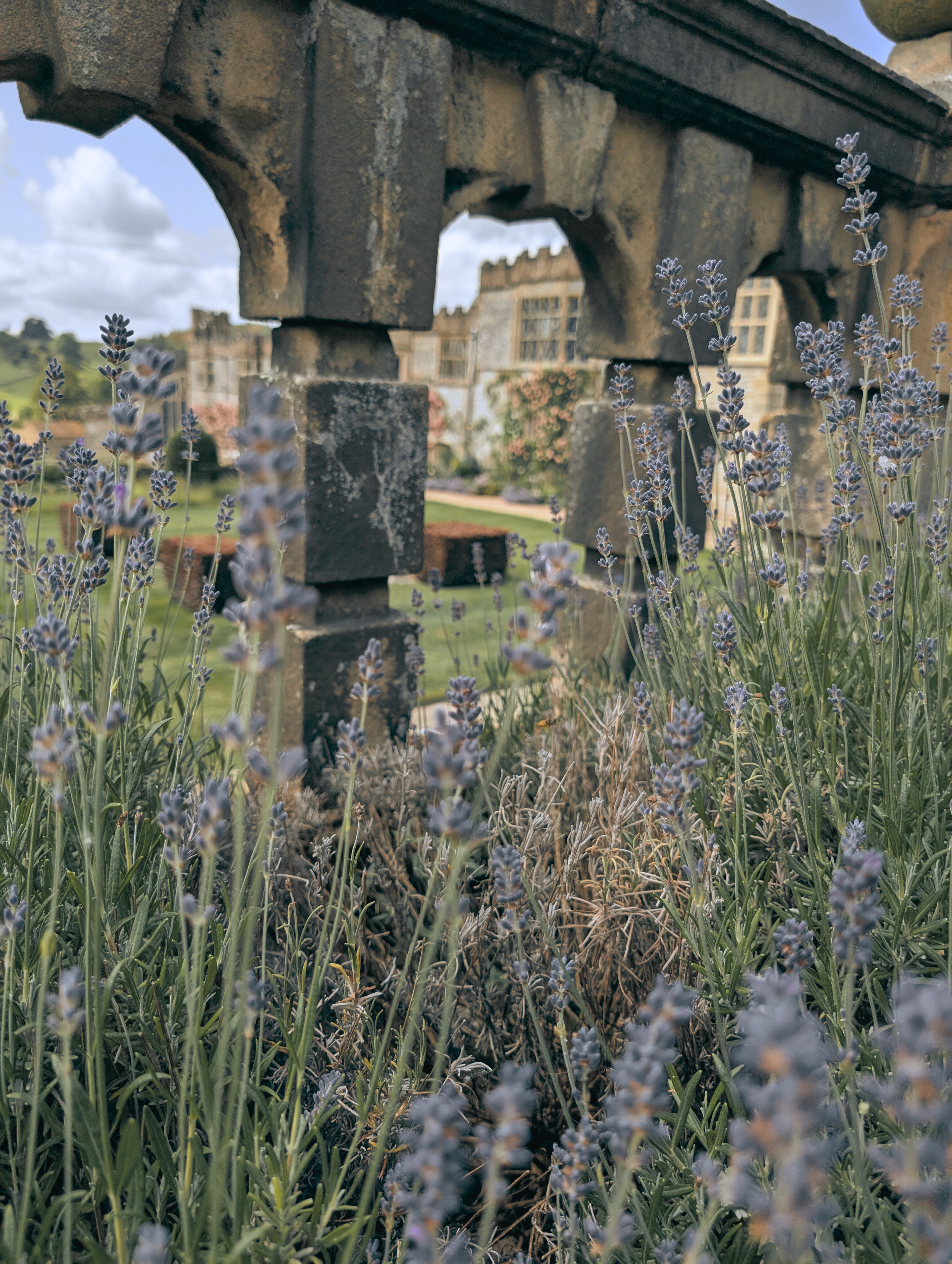 Untitled design (35).png