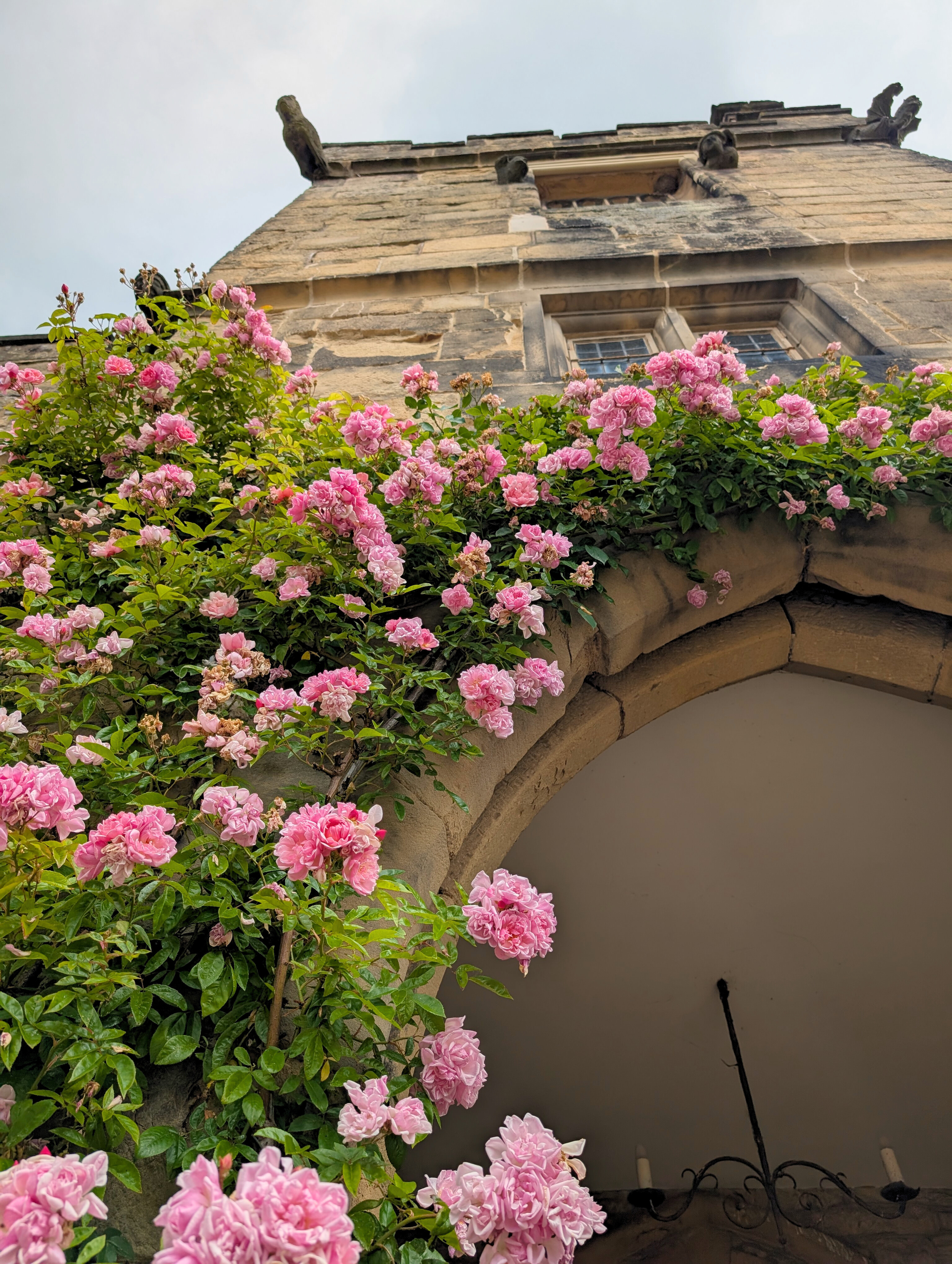 Untitled design (12).png