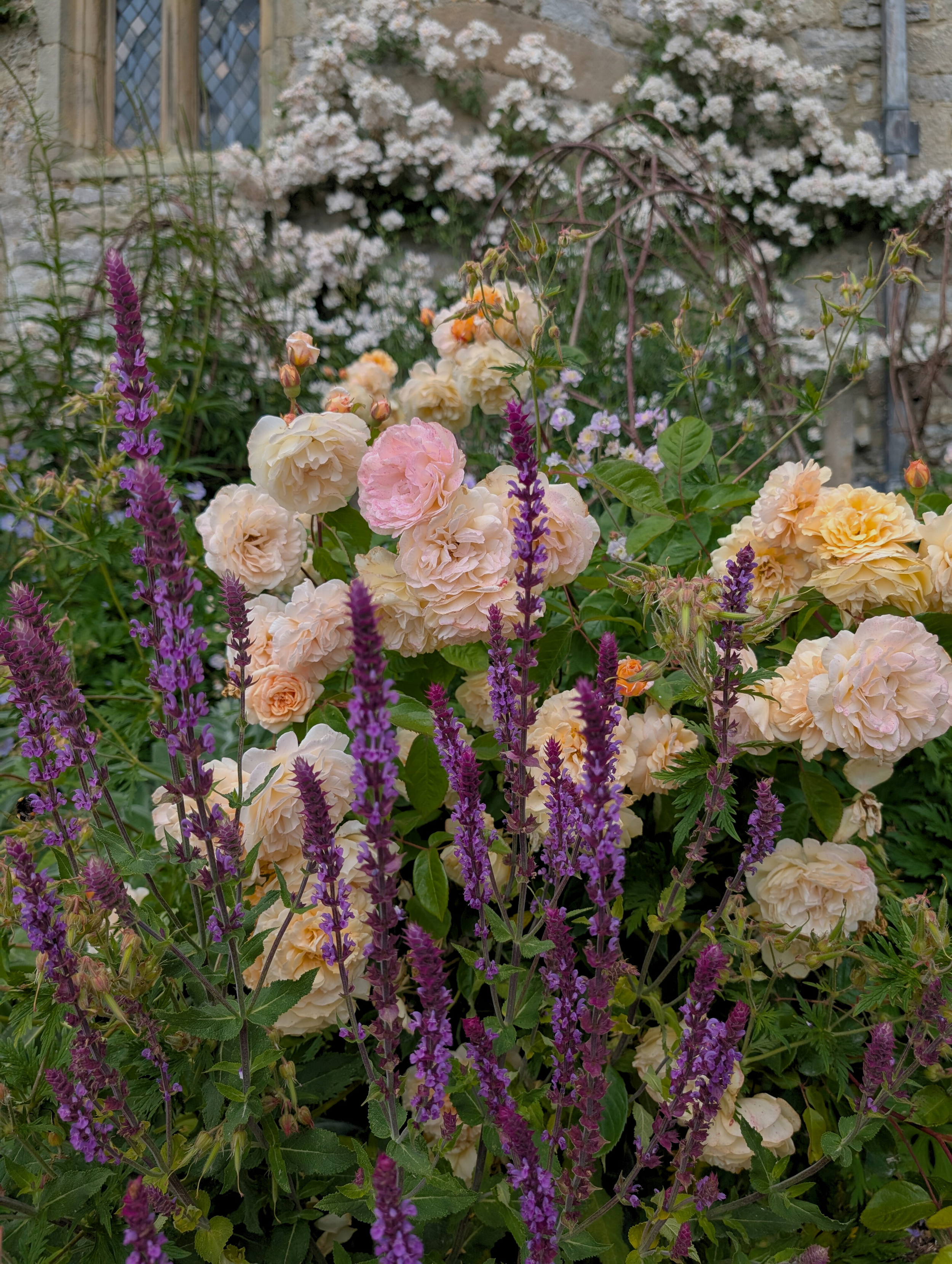 Untitled design (9).png