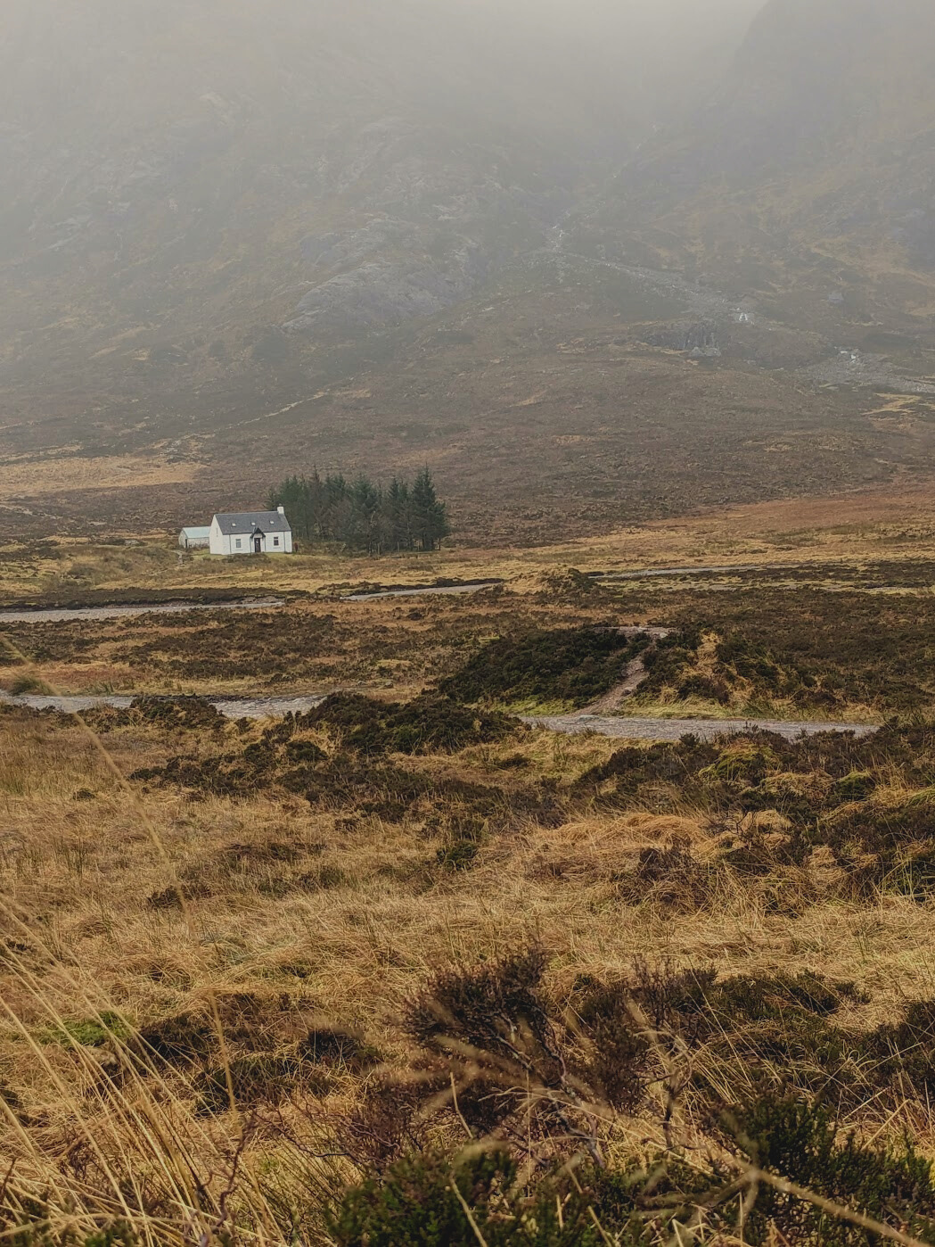 Untitled design (18).png